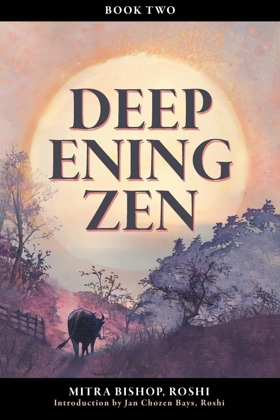 Deepening Zen: The Long Maturation, book two