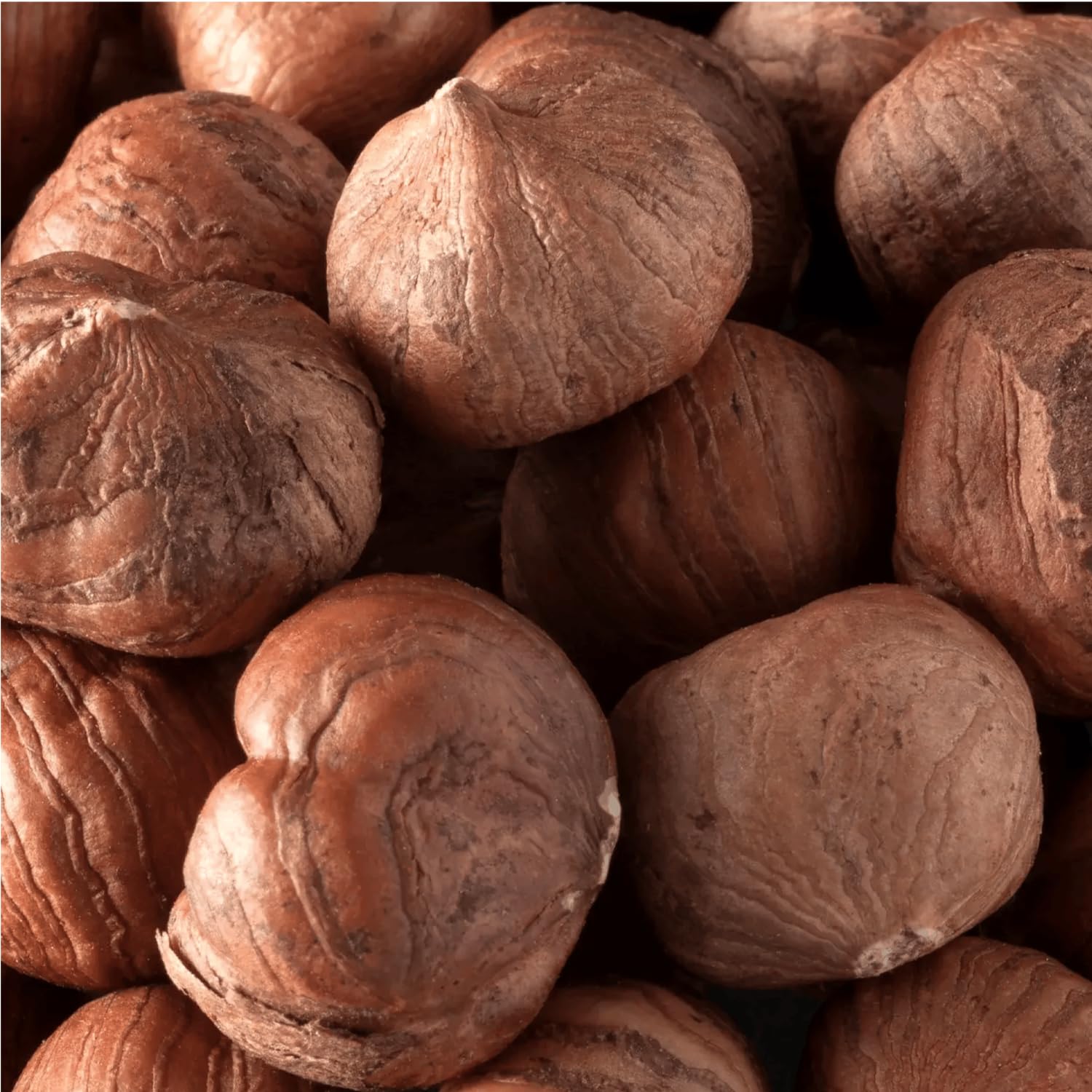 Bremer Gewürzhandel Haselnüsse, ganz, Haselnusskerne, geschälte Haselnüsse, 1kg