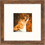 Brun 8x10 Cadre photo avec tapis pour 6x8 Affichage, cadre de photo murale pour bureau rustique pour horizontal et vertical, paquet de 1