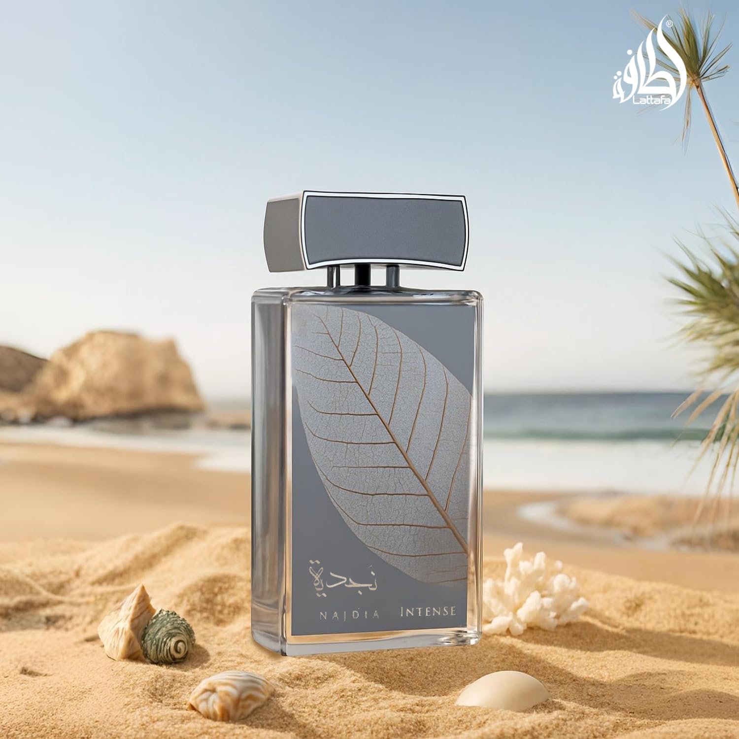 Amazon.com : Lattafa Najdia Intense – Fresh, Marine, Woody – Eau 
