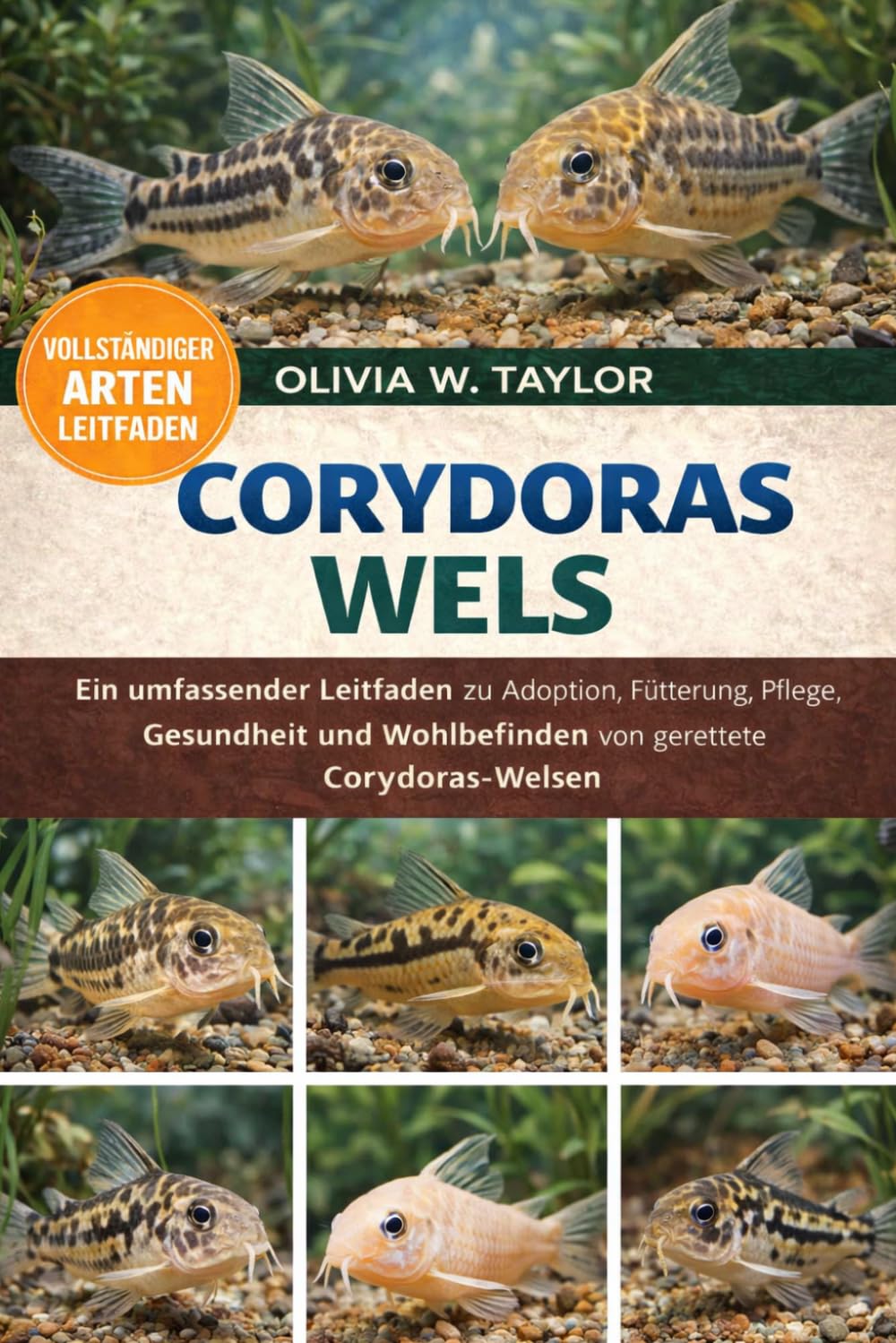 CORYDORAS WELS: Ein umfassender Leitfaden zu Adoption, Fütterung, Pflege, Gesundheit und Wohlbefinden von geretteten Corydoras-Welsen