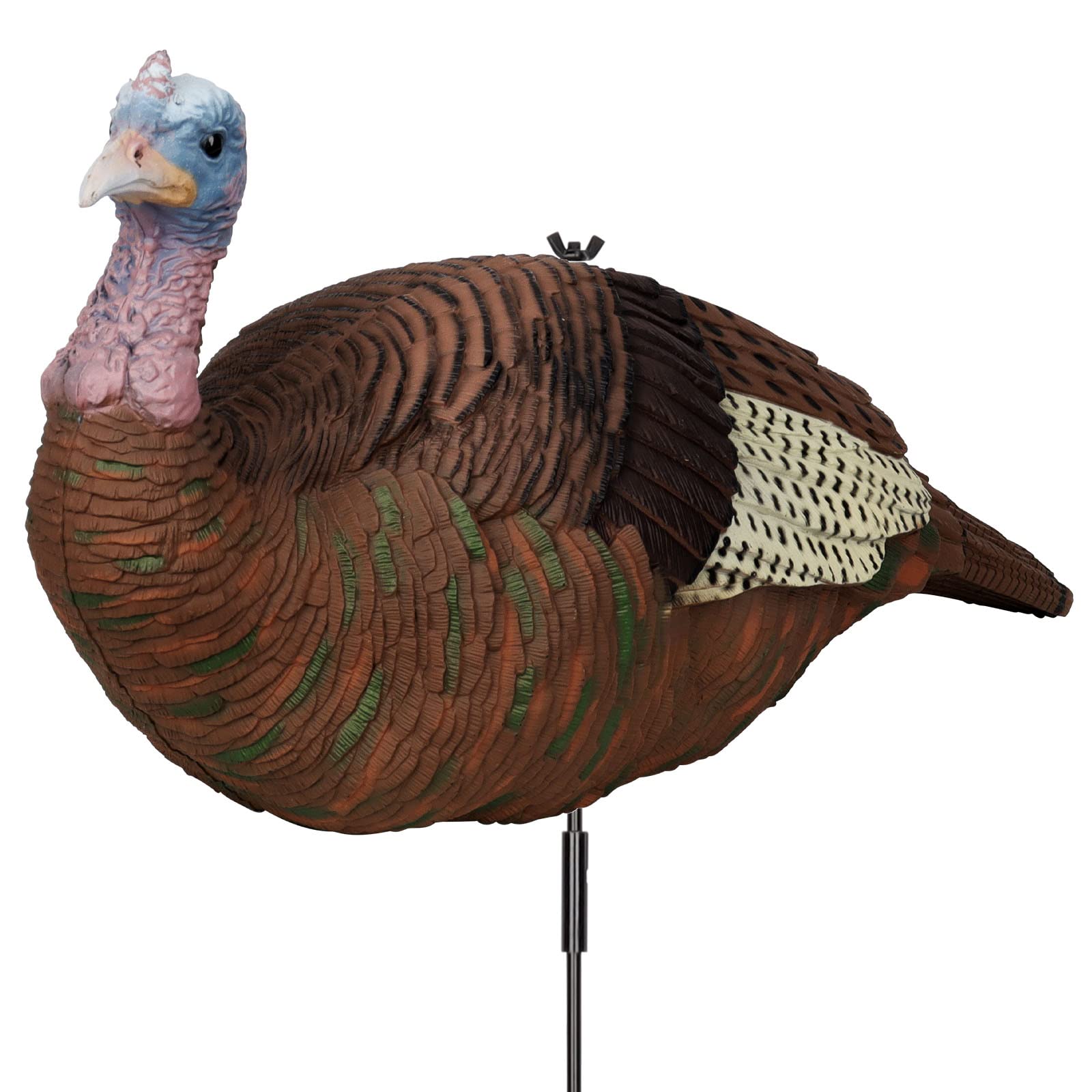 Photo 1 of GLOWYE Hen Turkeys Decoy for Hunting, Hunting Lightweight Turkey Decoy Lifelike Hunting Outdoor Thunder Chicken Heavy-Duty Turkey with Steel Stand