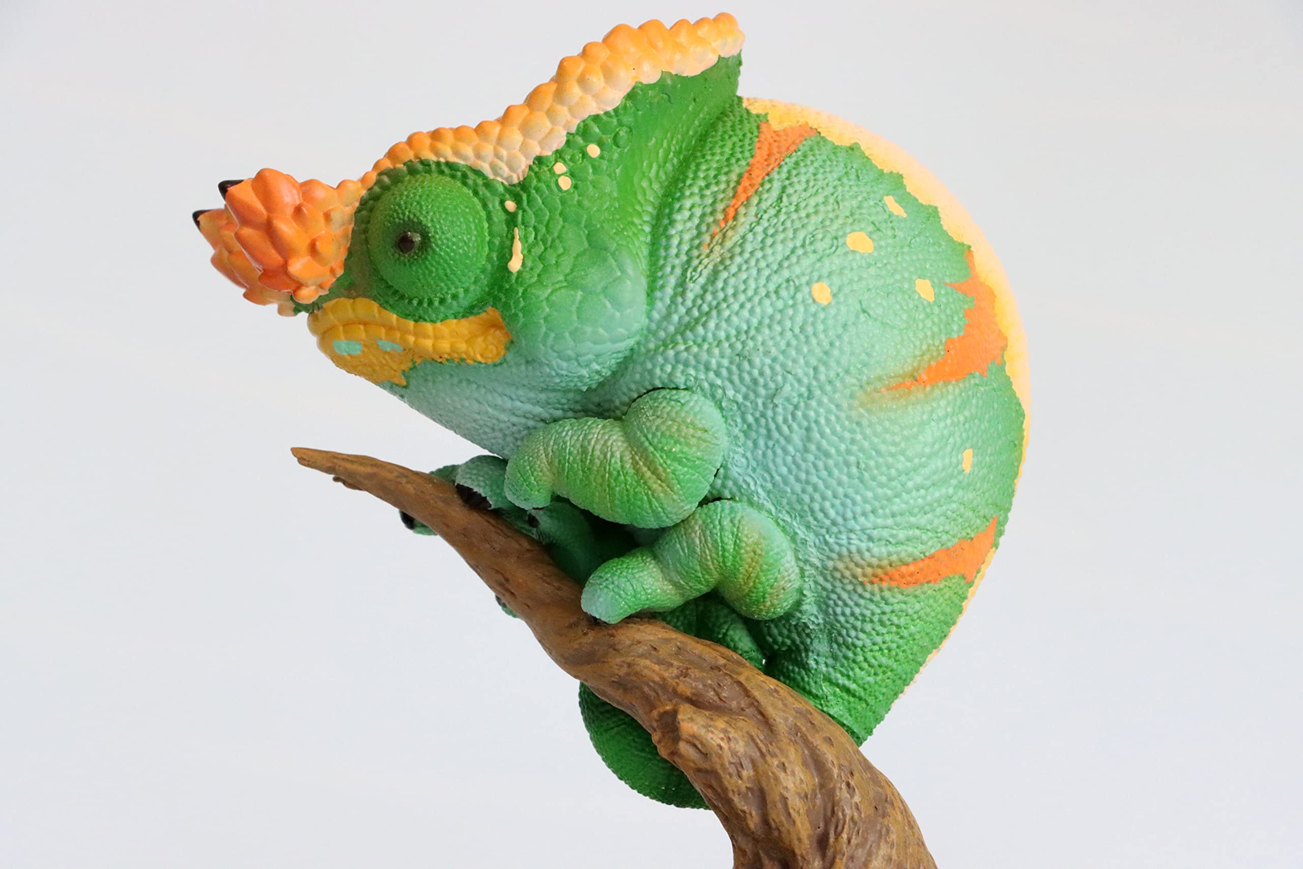 Amazon.co.jp: Mukushi Gacha Blind Box, Chameleon, Reptile Lead