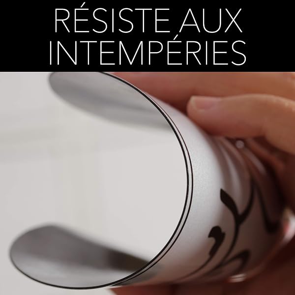 Conduite Accompagnée Magnetique 2X - Version 2026 - Marque Française - Disque Magnétique 15cm - 4