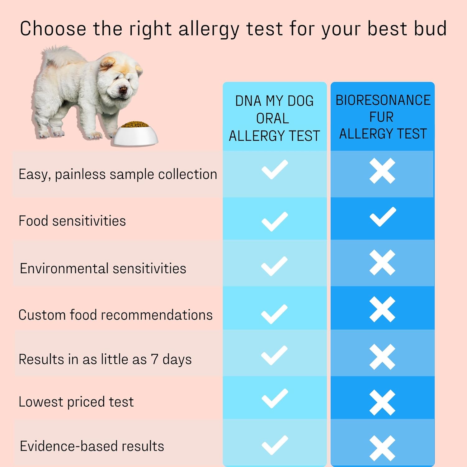 DNA MY DOG Vet-Recommended and Most Accurate Allergy Test for Itchy, Sensitive Dogs | Cheek Swab – The Gold Standard of Testing | Tests for All Common Food & Environmental Allergens | Custom Report