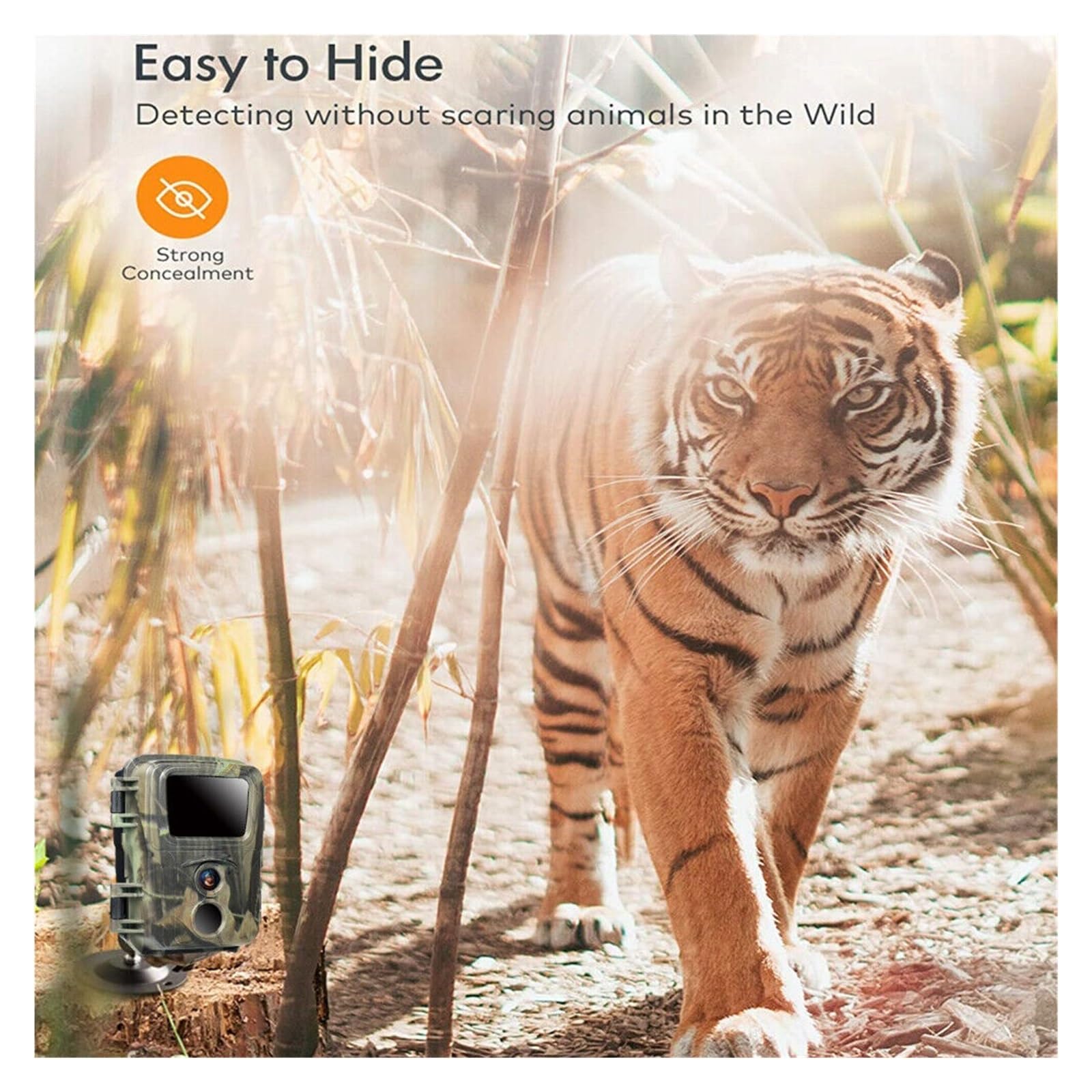 Kamera Obserwacji Dzikiej Przyrody Mini Trail Hunting Kamera Noktowizyjna 20MP 1080P Wildlife Photo Trap Nadzór Śledzenie Akcesoria Myśliwskie Wodoodporna Niezawodny Dokładny Monitoring