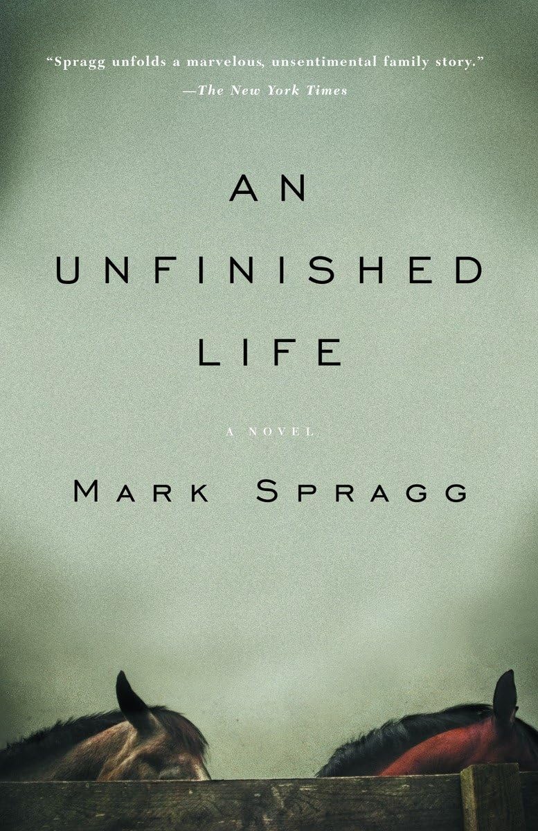 An Unfinished Life