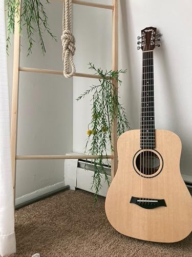 Amazon | Taylor/Baby Taylor (BT1) ベイビーテイラー[3/4ミニ
