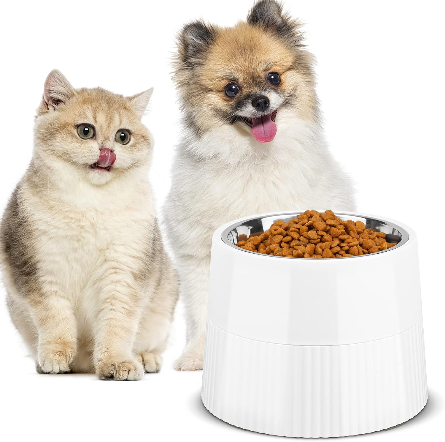 MSBC Elevated Dog Bowl, 15oz Small Raised Dog Feeder with Removable Stainless Steel Food and Water Bowl, Non-Skid & Non-Spill Dog Dish…