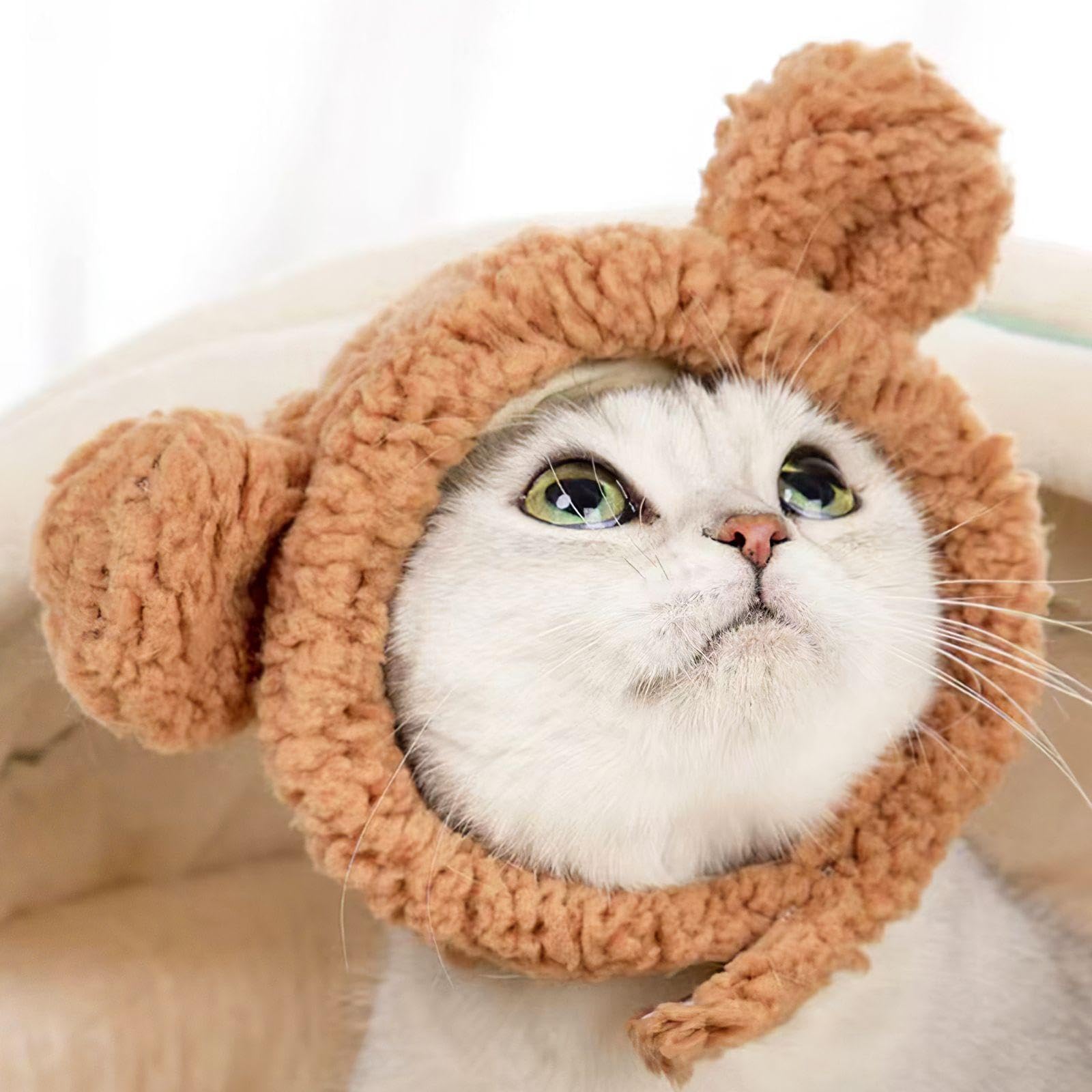 Chapeaux De Chat En Forme D'Ours 2 Pièces, Chapeaux Mignons Pour Animaux De Compagnie, Accessoires De Déguisement Pour Animaux De Compagnie, Chapeaux Chauds Pour Animaux De Compagnie, Marron)