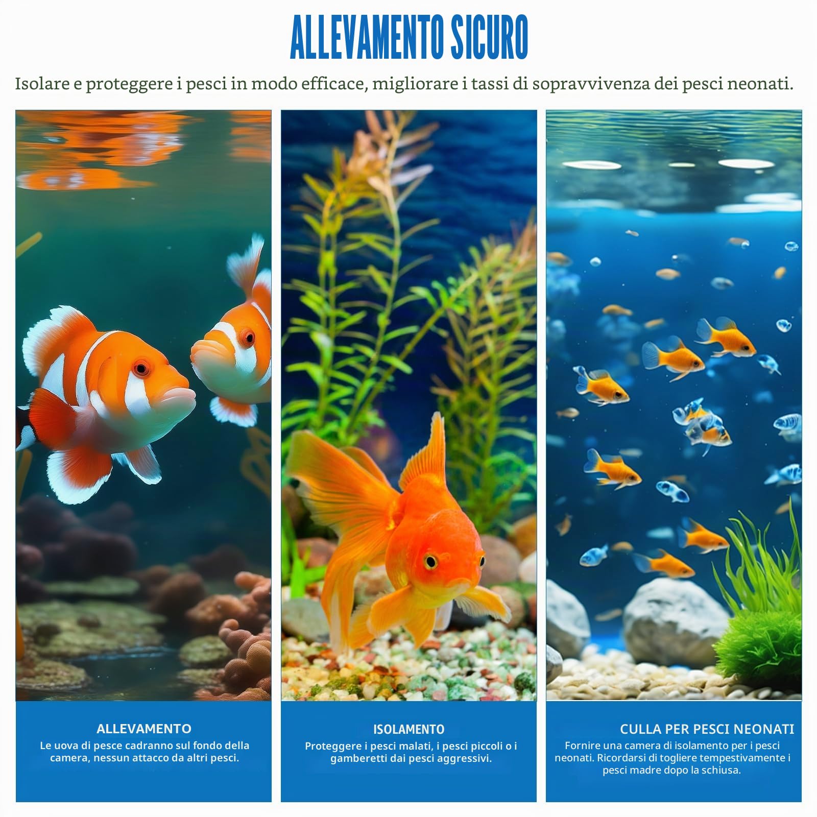 Scatola di Allevamento di Pesci d'Acquario, Scatola di Isolamento per Allevamento di Acquario Trasparente in Acrilico Incubatrice Pensili con Ventose per Neonati Gamberetti, 30x15x15 cm