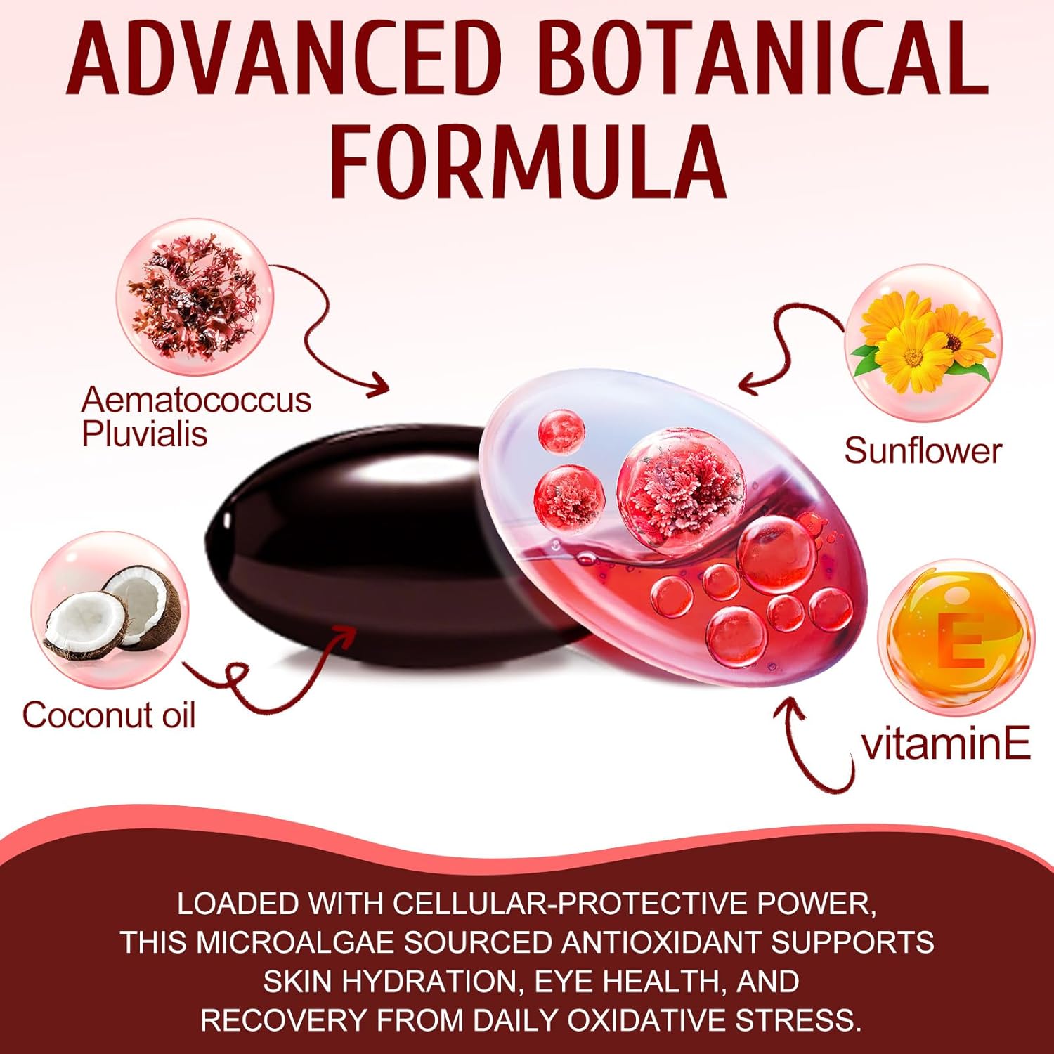 2 Pack Astaxanthin 12mg,Premium Astaxanthin Antioxidant Supplements with Antioxidant Activity, Supports Eye, Immune, Joint, Skin Health, Internal Circulation - Image 2