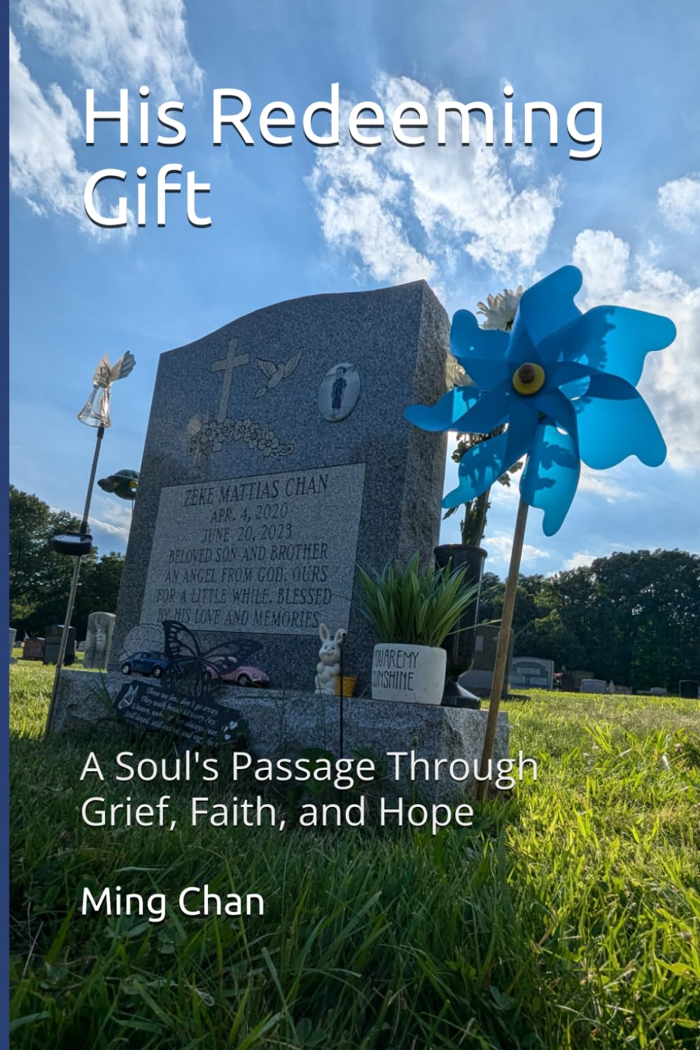 His Redeeming Gift: A Soul's Passage Through Grief, Faith, and Hope