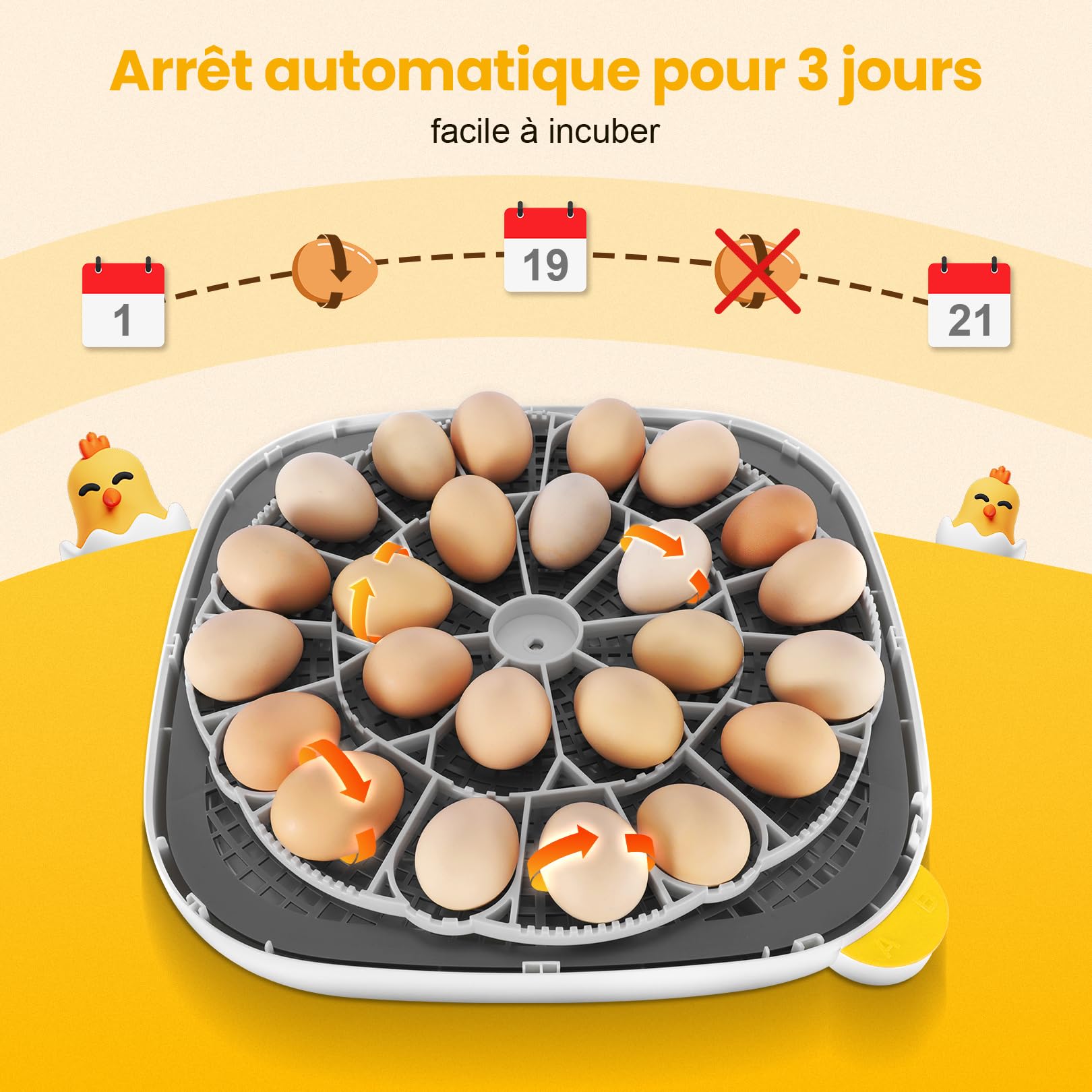 Sailnovo Couveuse Oeuf Automatique - 24 œufs - Incubateur pour œufs de poule avec 4 modes - Vue à 360° - Incubateur à œufs avec retournement automatique et contrôle de la température(Gris)