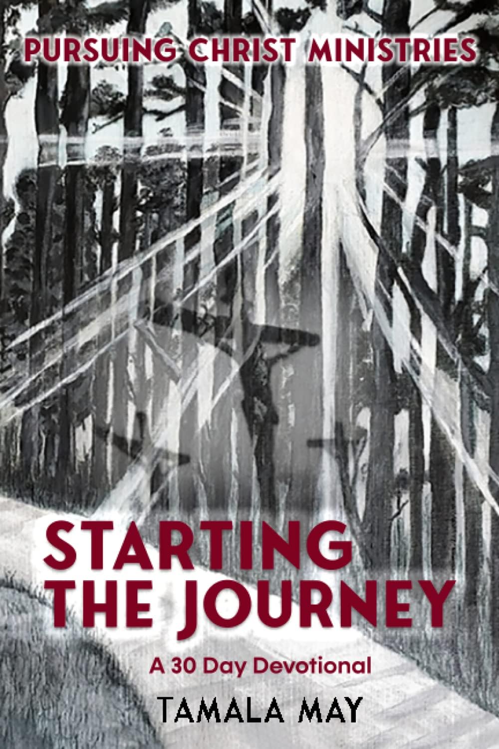 Starting The Journey: A 30 Day Devotional