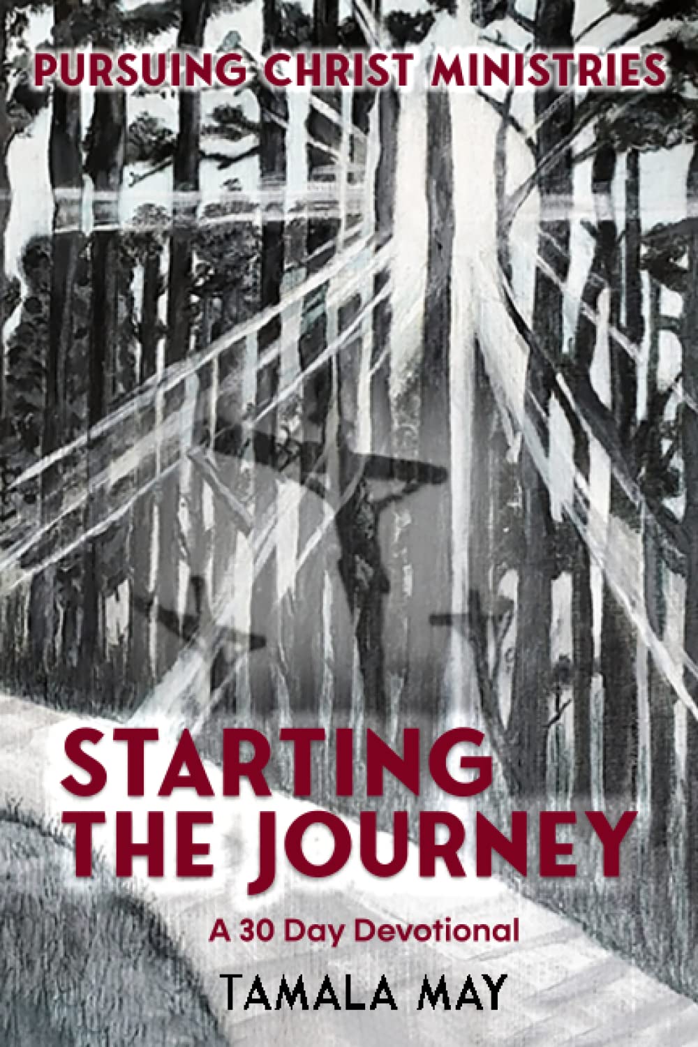 Starting The Journey: A 30 Day Devotional