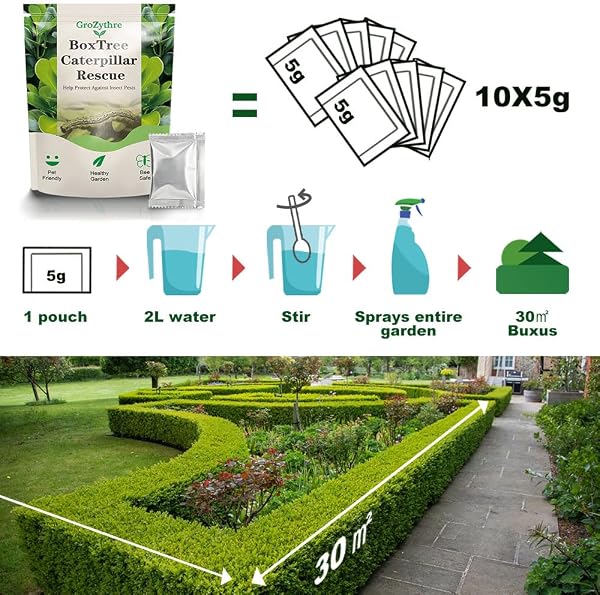 Box Tree Caterpillar Treatment –10 x 5g Packs, 300㎡ Total Coverage – Individually Wrapped,Safe for Bees & Birds, Supports Healthy Buxus Hedges - 3
