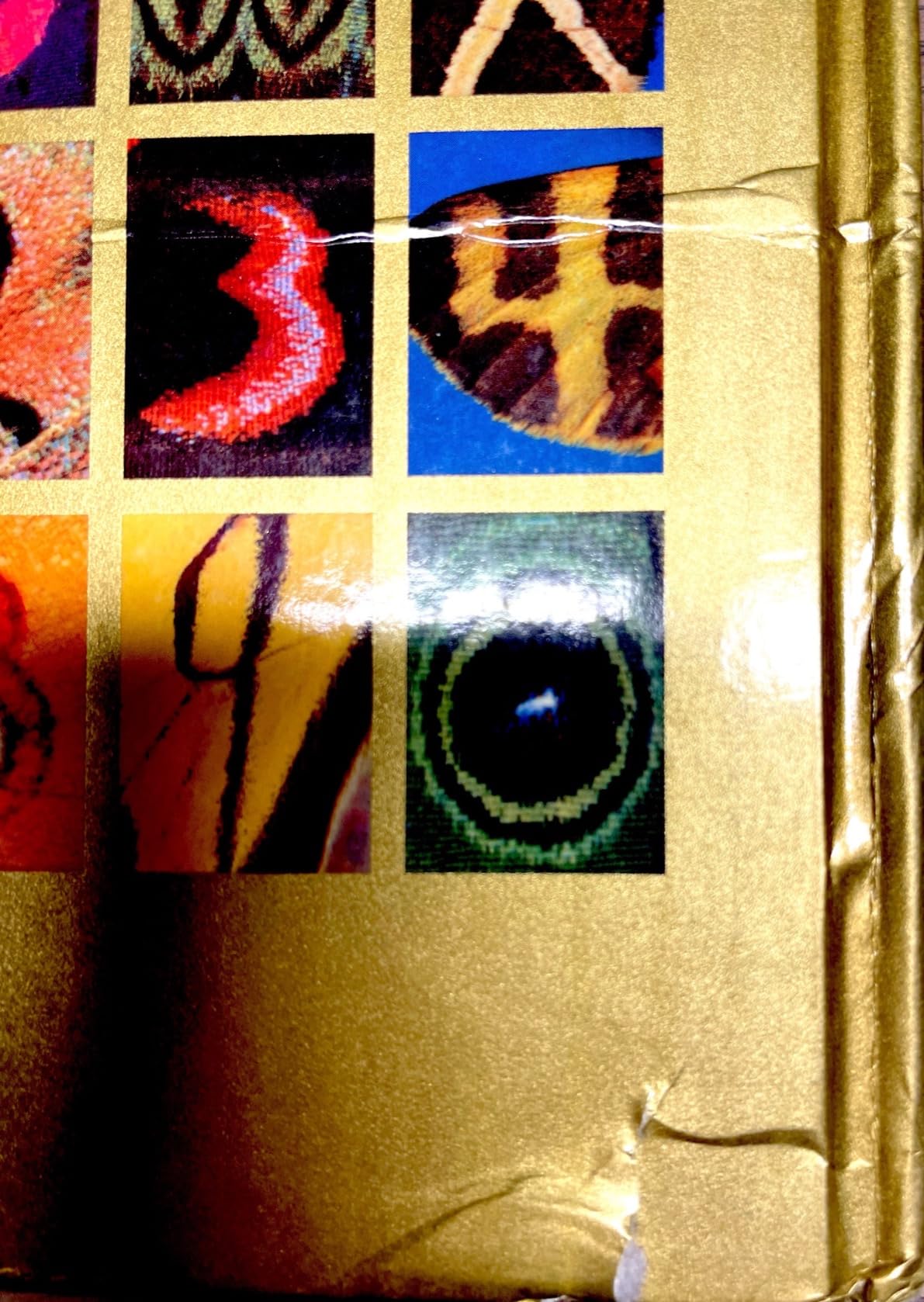 the-butterfly-alphabet-photographs-sandved-kjell-bloch-amazon-de