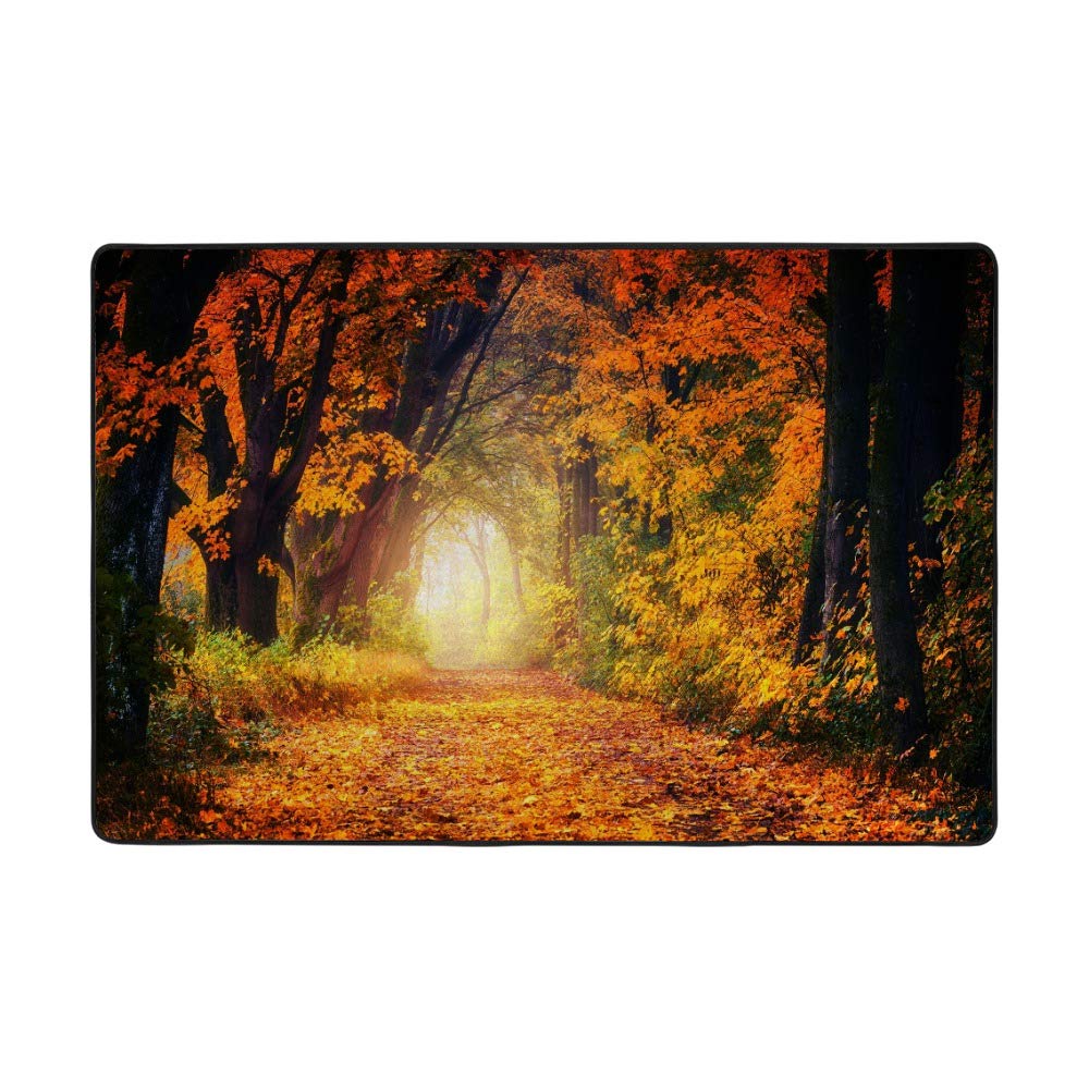 Tapis d'automne grand format pour un salon chaleureux