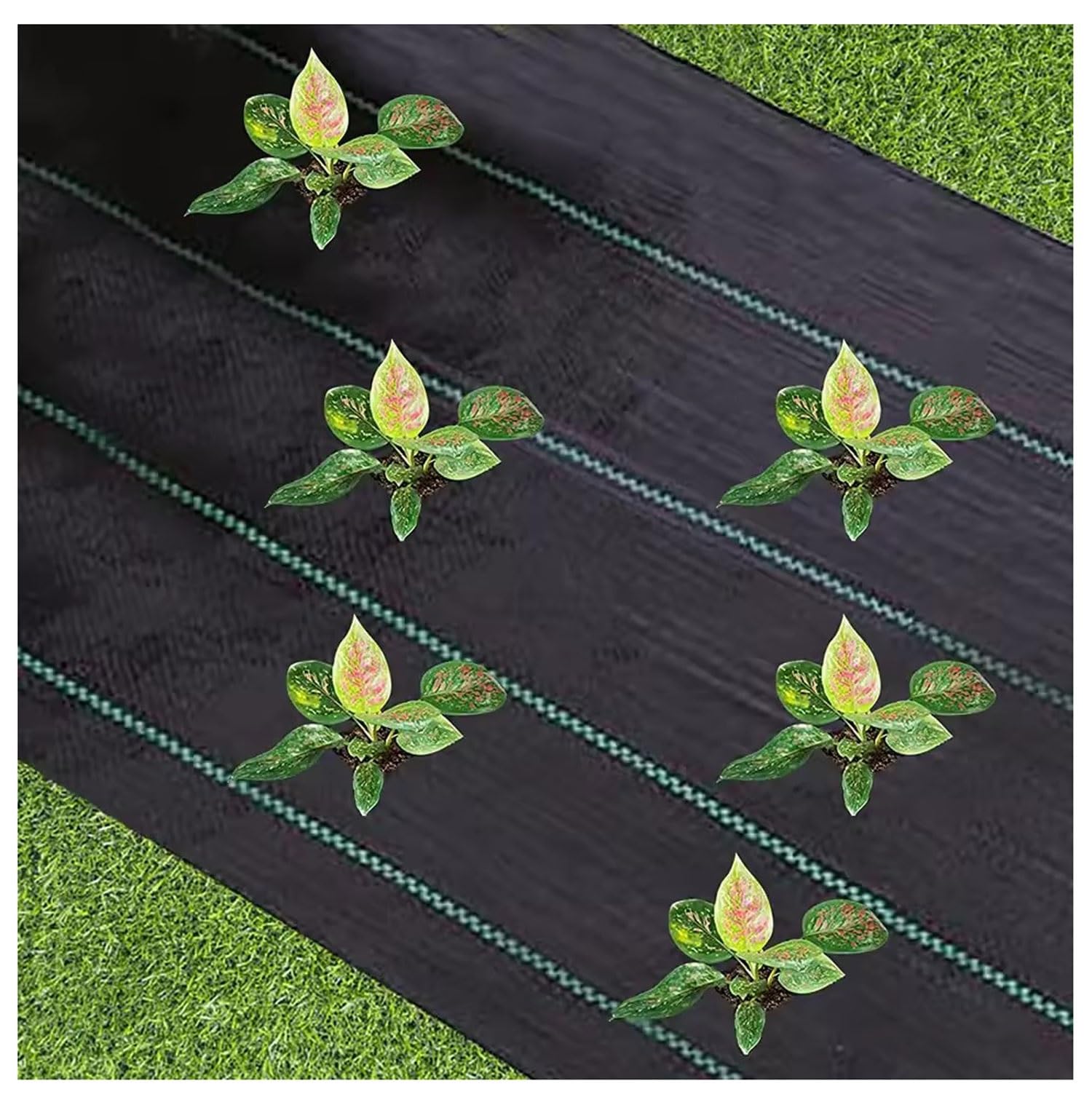 DIWAL Rotolo Telo Pacciamatura Tessuto Geotessile Barriera Erbacce Resistente UV Copertura Suolo per Giardino, Orto, Terrazze, Vialetti, Esterni, Patio(1m x 100m)