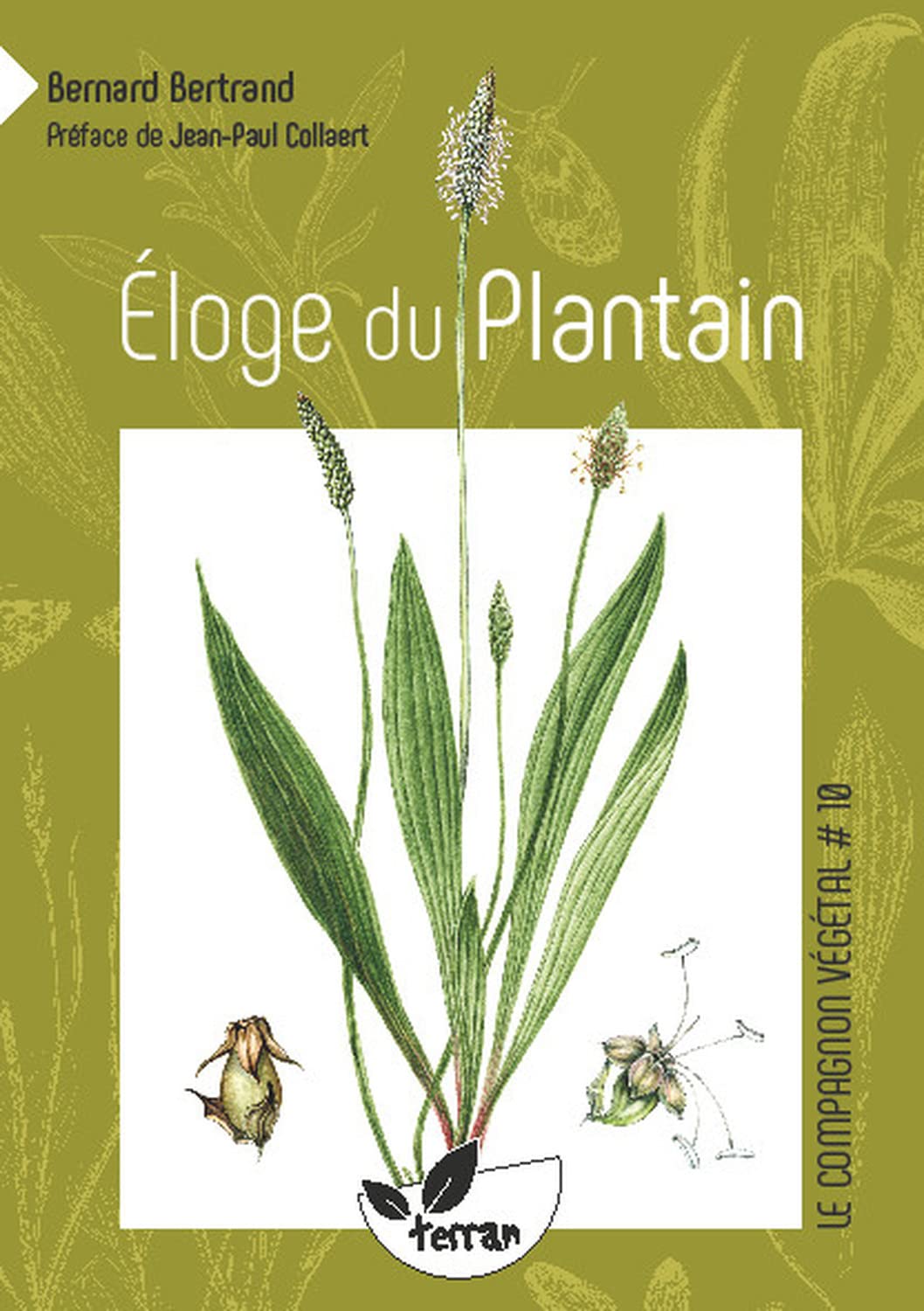Éloge Du Plantain - Livre Sur Les Vertus Et Utilisations De Cette Plante Médicinale Méconnue