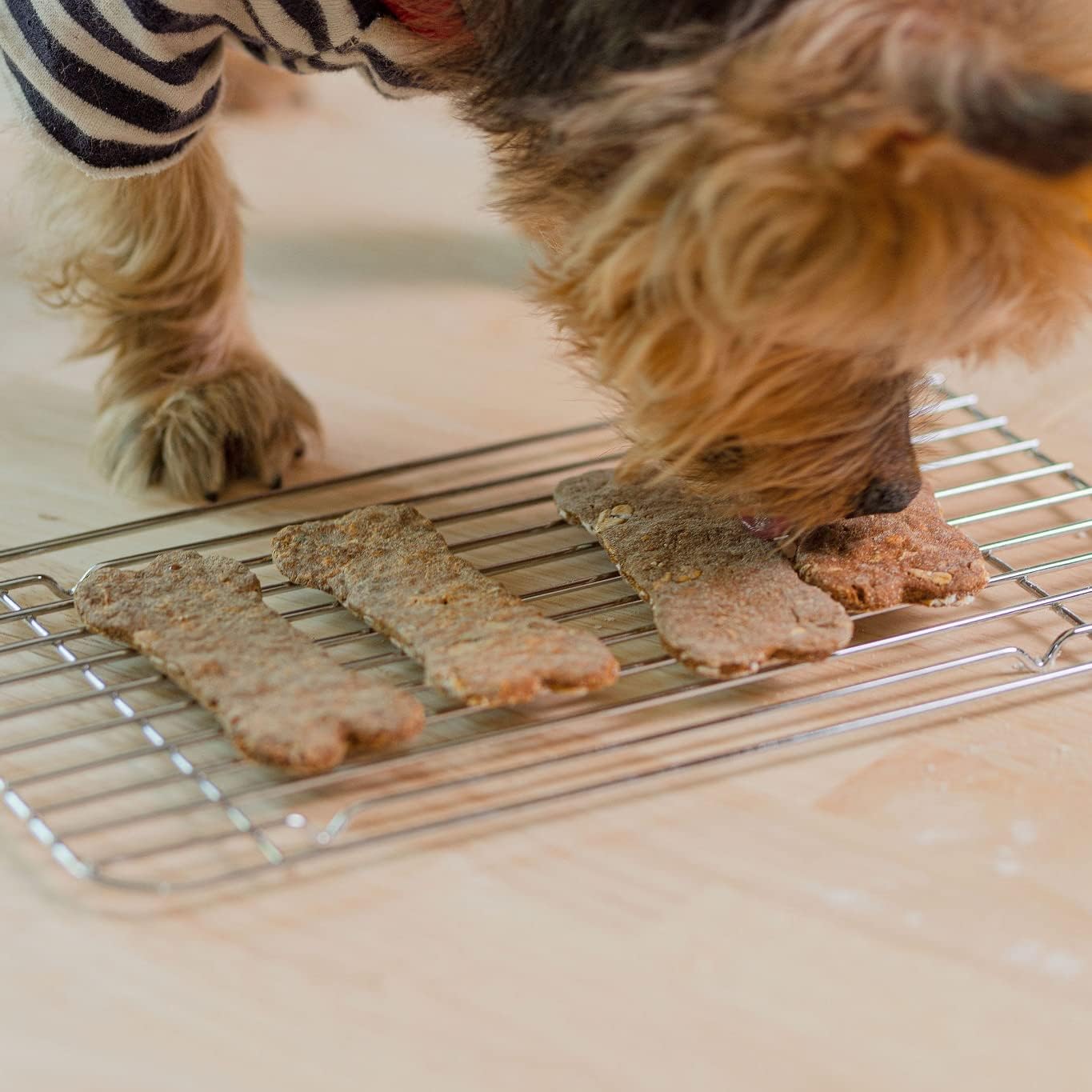 Cooper's Treats Baked Biscuit Starter Kit - Dog Biscuit Baking Mix - Easy Dog Cookie Baking Kits for DIY Pet Treats - Healthy, Delicious Homemade Dog Treat Mix