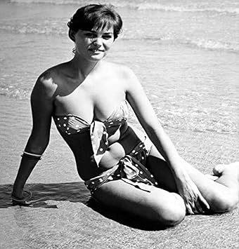 Posterazzi DAP15354 Claudia Cardinale - Polka Dot Bikini Photo Print, 8 x 10, Multi