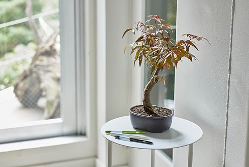 Miniatura 8 de Aquameter - Pequeño - Negro - Paquete de 2 - Medidor de humedad del suelo sin enjuague para plantas en macetas - Sensor de agua de plantas -