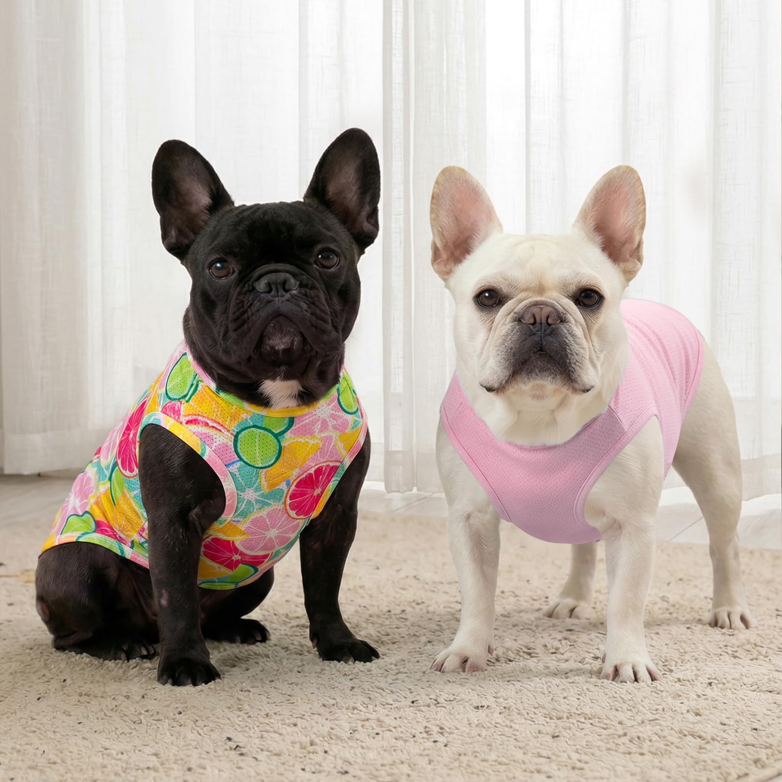 KYEESE Lot de 2 chemises pour chien, légères à séchage rapide avec étiquette réfléchissante, sans manches, motif citron, idéal pour la protection solaire d'été, taille M, citron + rose