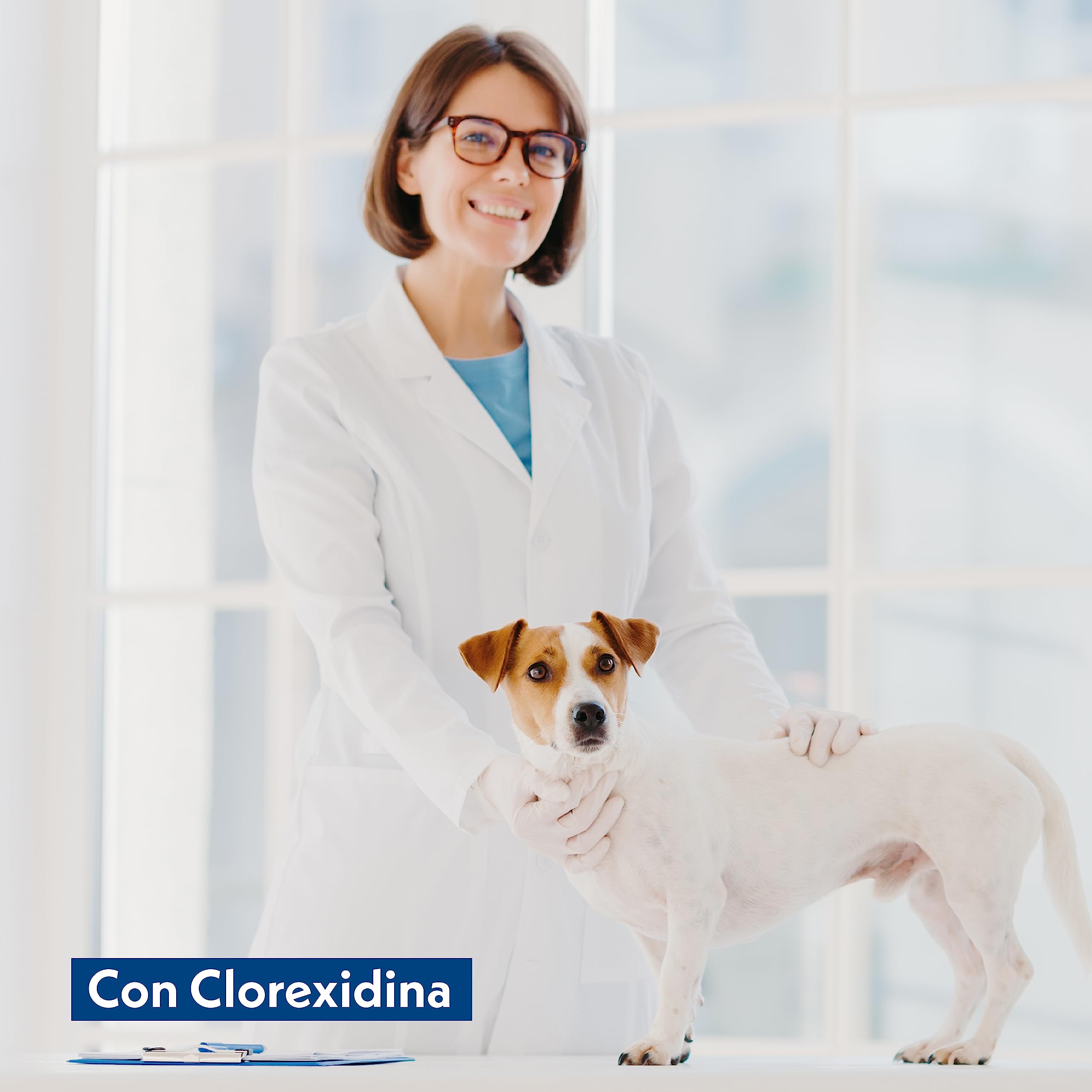 560 Salviette Igienizzanti alla Clorexidina Extra Large, Igienizzanti e Purificanti, per Il Manto di Cani, Gatti e Animali Domestici, Disinfettanti, 30x20 cm - 14 Confezioni da 40 Salviettine