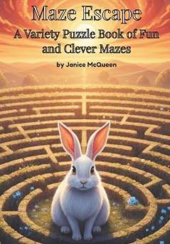 Maze Escape A Variety Puzzle Book of Fun and Clever Mazes