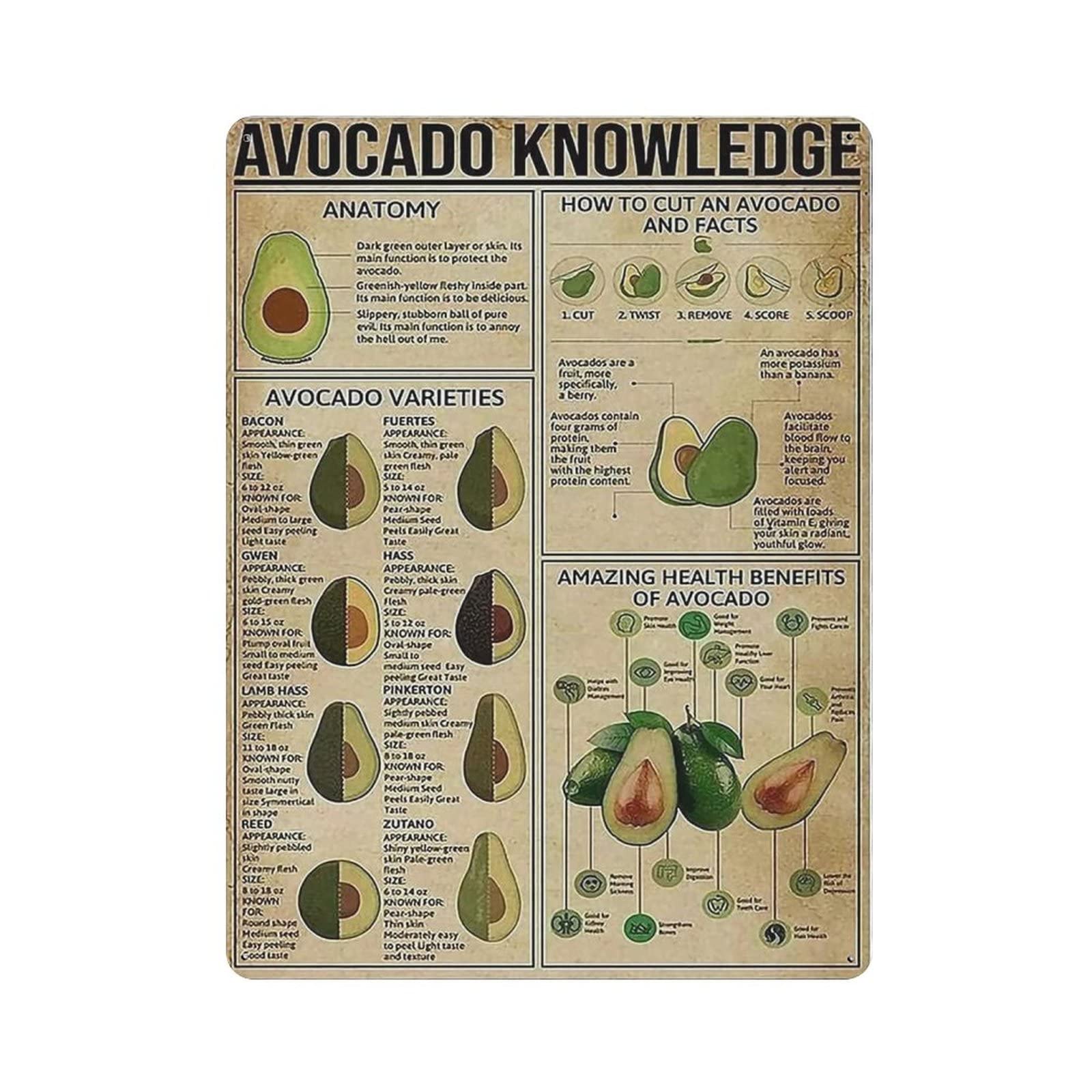 rayprint Avocdo Knowledge Poster Metal Tin Sign Art Wall Plaque Decor Vintage Retro Sign Iron Painting Aluminum Sign for Home Decor Bar Shop Men Cave Outdoor Garage Indoor 16"x12"