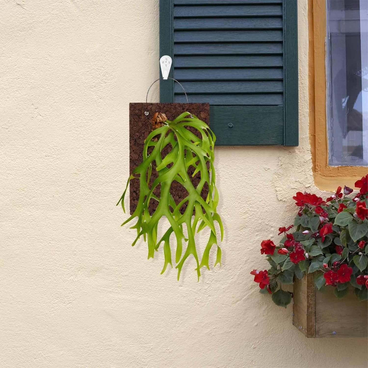 VICASKY Thickened Carbonized Cork Fern Mounting Board 17x25x5cm Vertical Wall Planter Panel for Orchids Succulents Indoor Hanging Greenery Display