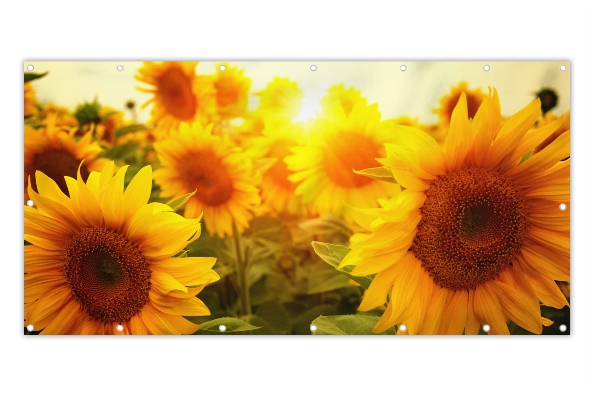 MuchoWow® Balkon Sichtschutz Sichtschutzmatte Balkonbanner Abdeckung für Terrasse Balkon Windschutz Blickdicht Wetterfest 200x110 cm Sonnenblume - Gelb - Blumen - Sonne