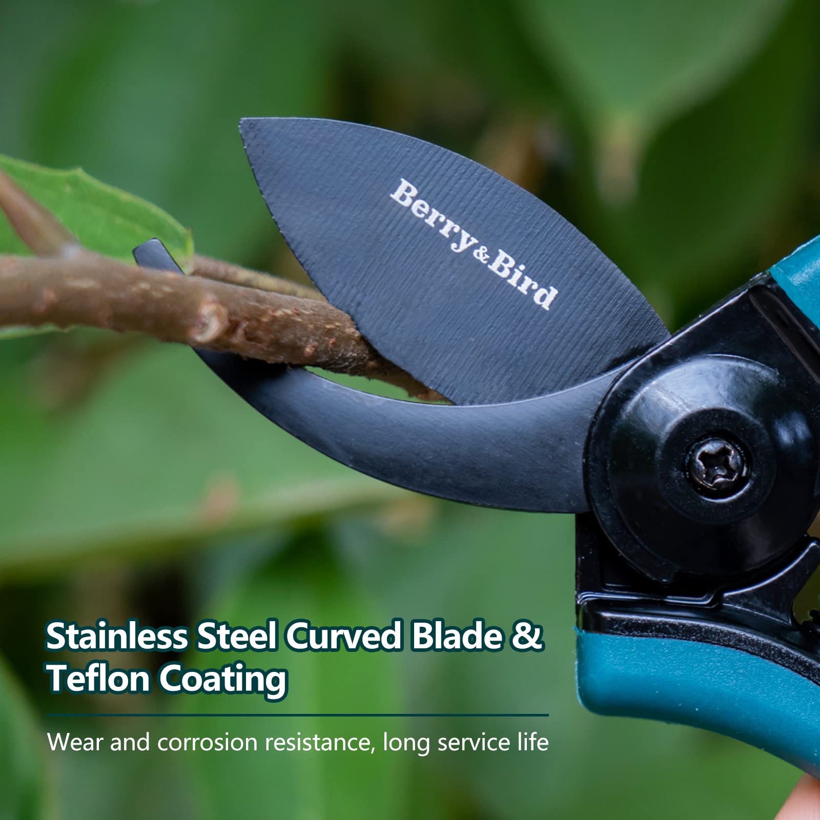 Picture Idea: Fiskars Pruning Shears Berry Bird Mini Pruning Shears For Gardening