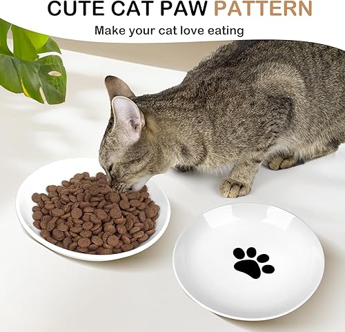 Miniatura 4 de TRUVIC Paquete de 4 cuencos de cerámica para gatos, platos de cerámica de 5.9 pulgadas para gatos de interior y perros pequeños, cuencos antifatiga