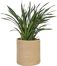 MEGASKET Woven Jute Plant Basket, Wicker Basket Planter for 10 inch Pot, Round Indoor Outdoor Tree Pot Cover, Small Boho Storage Bin Organizer, Rustic Basket for Plants and Home Decor, 11”X11”