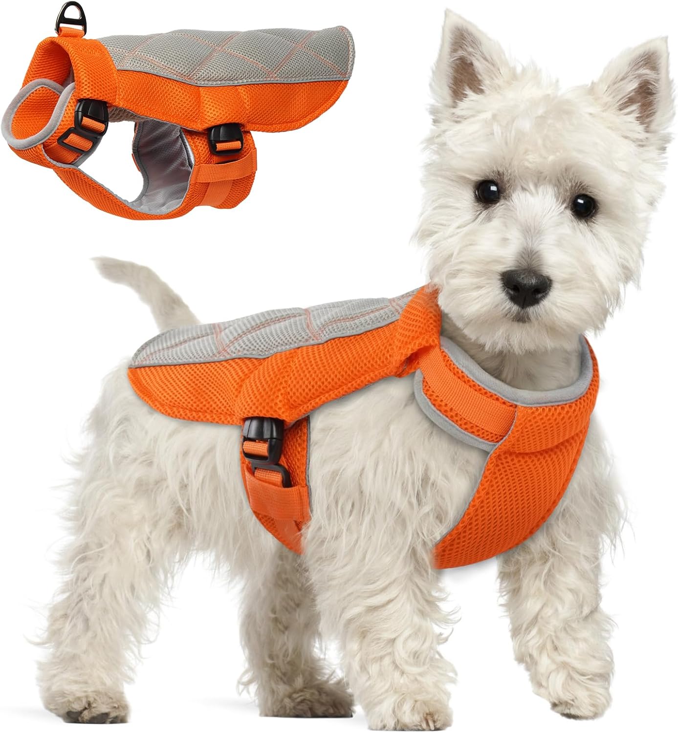 Hjumarayan Dog Cooling Vest, Breathable Dog Cooling Coat with Adjustable Neck and Tummy, Reflective Cooling Dog Coat Stylish Dog Cooling Jacket with Grid for Longer Coolness, Orange XS Hjumarayan Dog Cooling Vest, Breathable Dog Cooling Coat with Adjustable Neck and Tummy, Reflective Cooling Dog Coat Stylish Dog Cooling Jacket with Grid for Longer Coolness, Orange XS