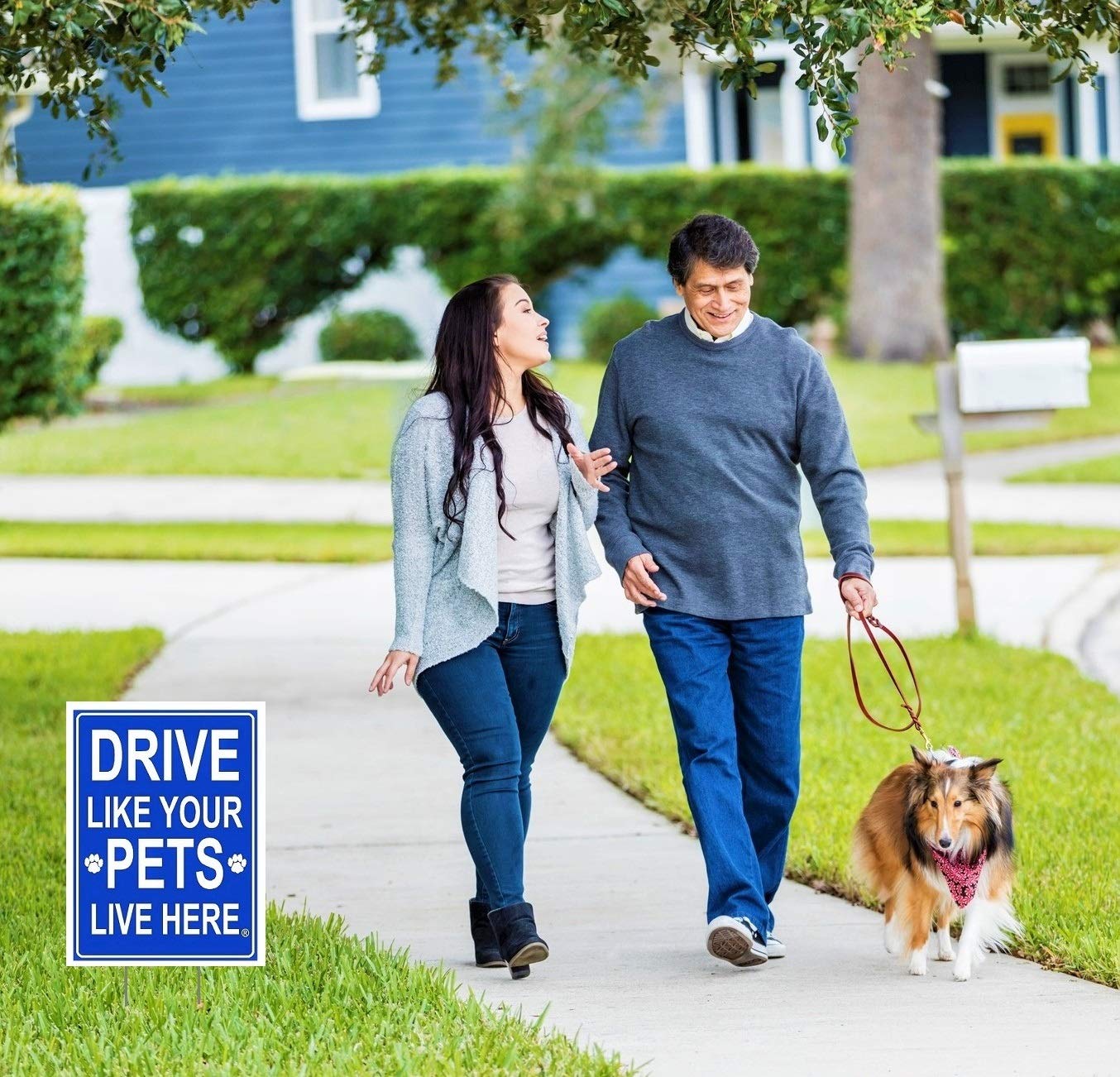 Drive Like Your Pets Live Here Yard Sign (2 Pack) Blue/White, Double Sided with Metal Stand