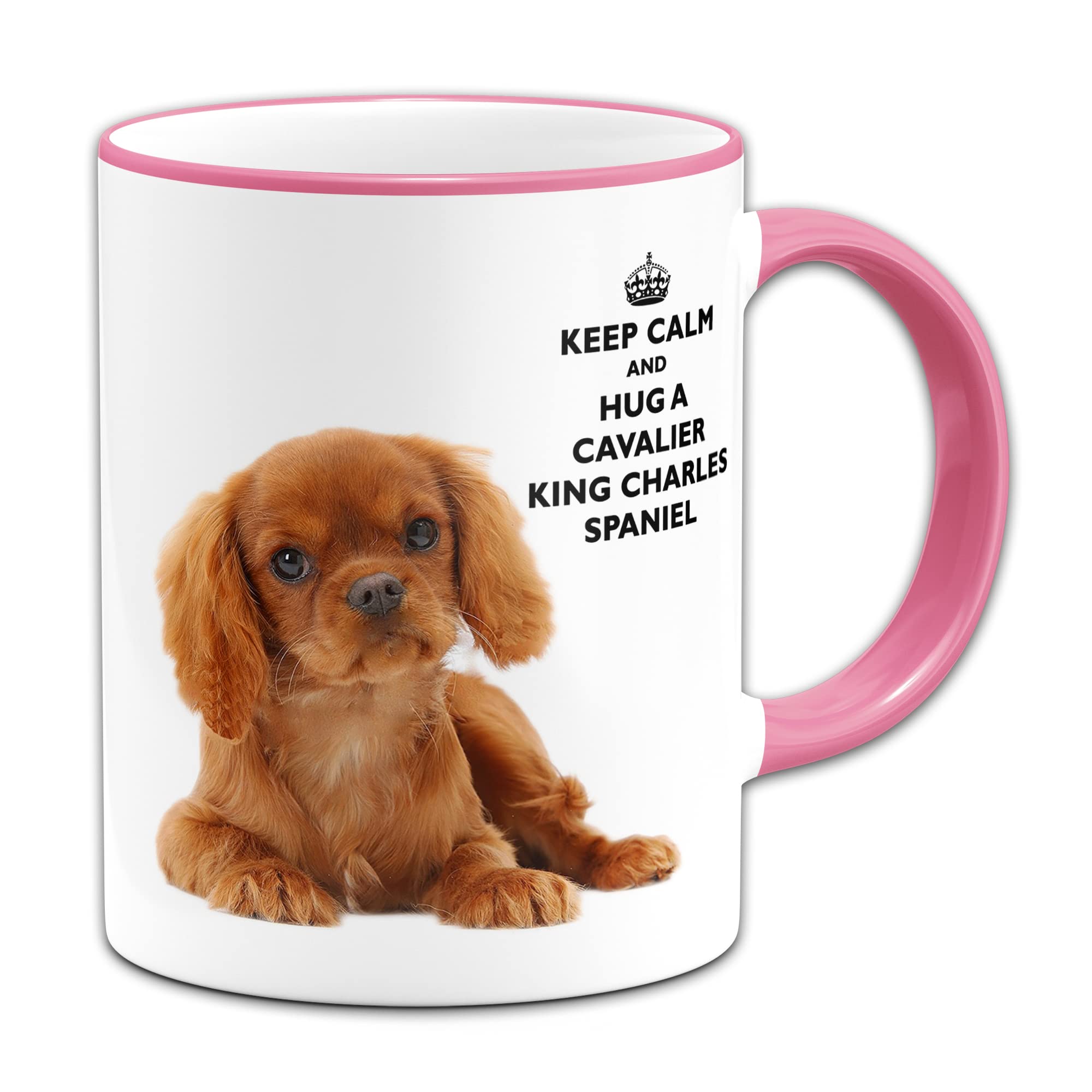 Tazza Schnauzer per colazione, the, tisana, caffè, cappuccino. Gadget tazza Mai Sottovalutare una Donna con un Cane schnauzer. Idea regalo originale