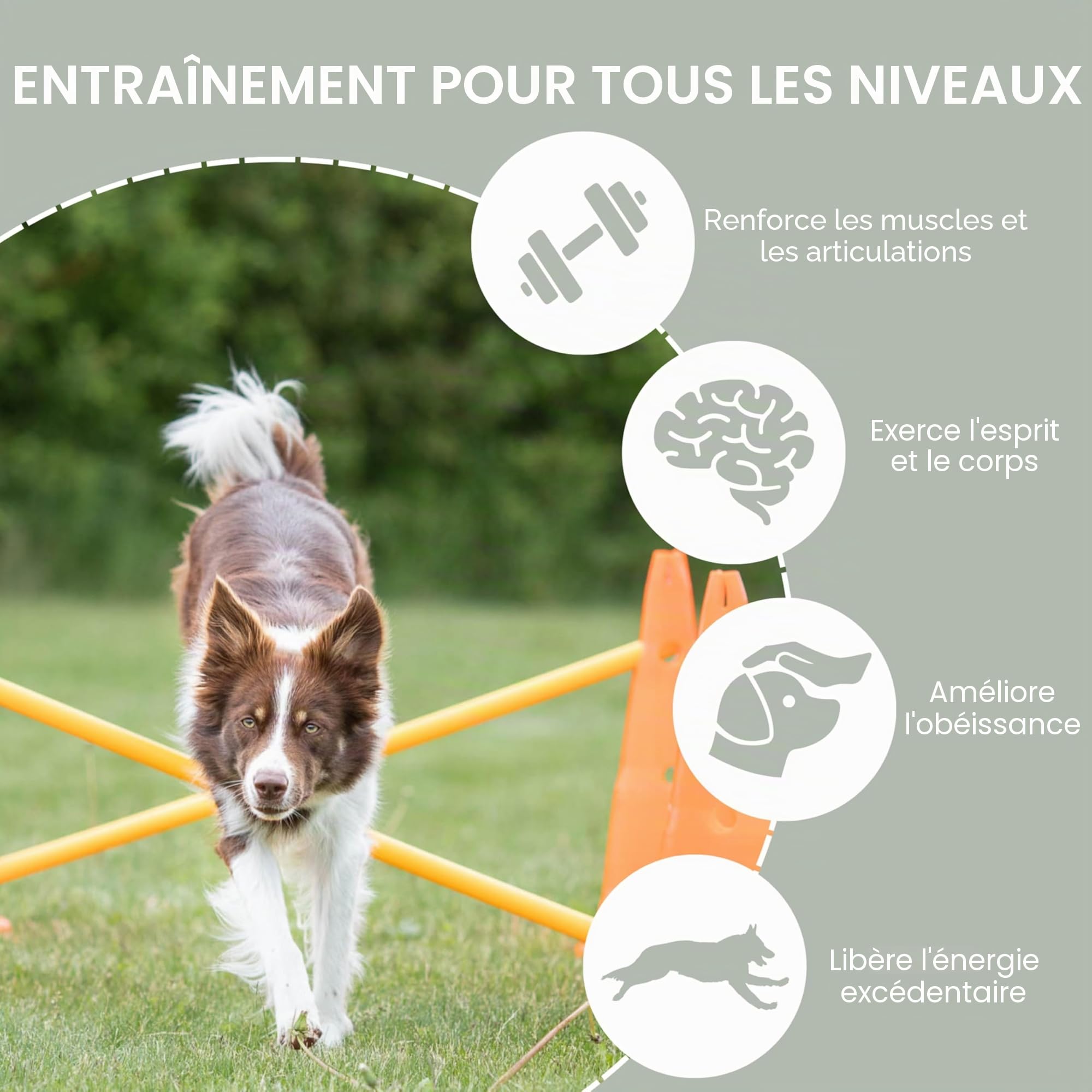 Trixie Set d’Obstacles à cônes - Accessoire d’entraînement résistant pour Agility Canine - ø 23 × 30 cm/78 cm Orange/Jaune, équipement de Sport canin pour la Maison