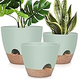 12' 10' 9' Large Self Watering Plant Pots, 3 Pack Flower Pots Planters with Multi Mesh Drainage Holes for Indoor Outdoor Garden Plants and Flowers. Green 12+10+9 Inch