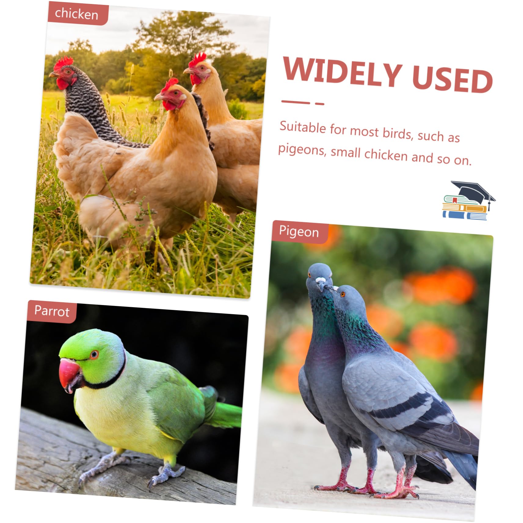 Nid D’oiseau pour Pigeons Voyageurs, Pots à Œufs en Plastique, Lot de 3