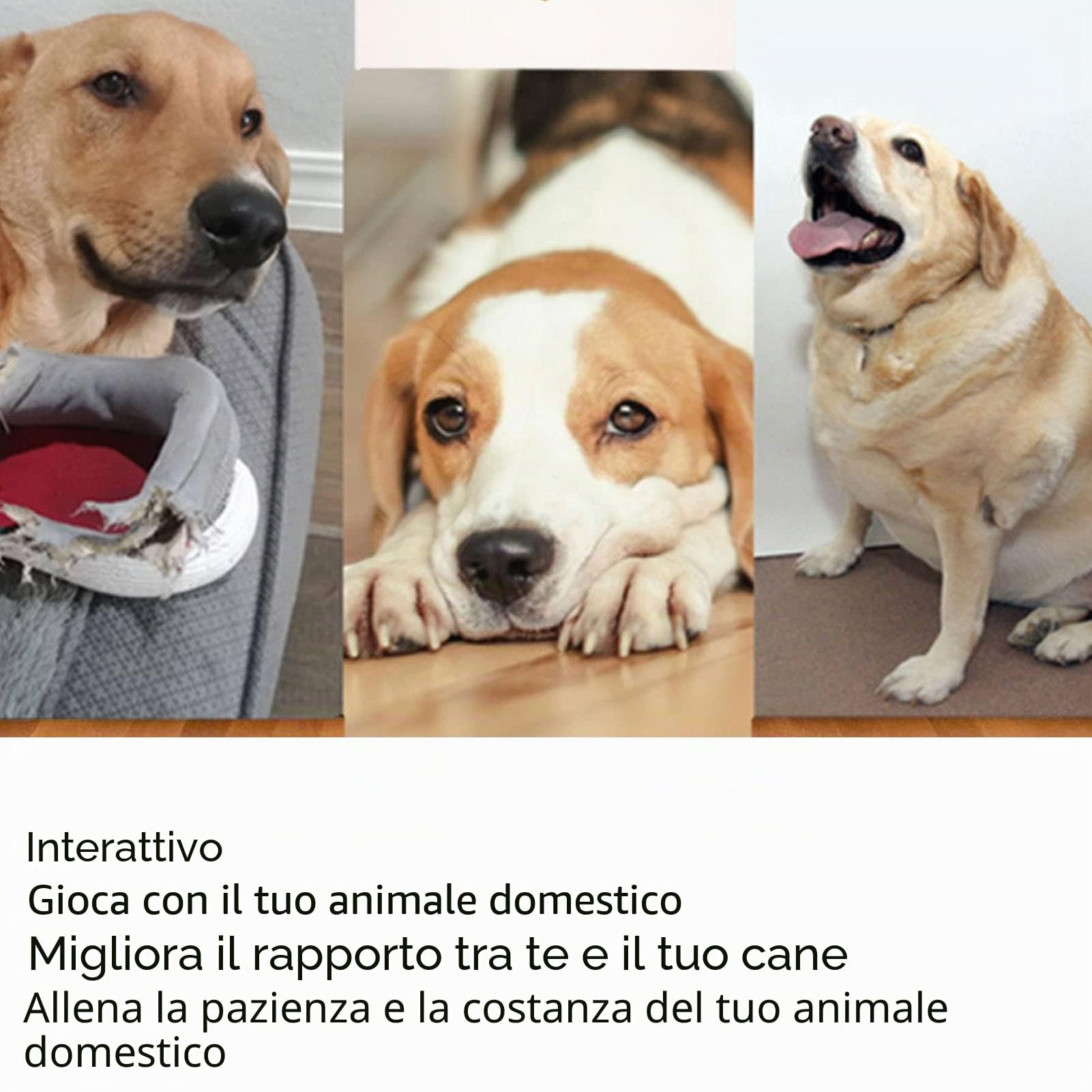 Lanciatore Automatico di Palline per Cani Lanciatore Interattivo di Palline per Animali Domestici Ricaricabile in 3 modalità per Interni Ed Esterni Verde