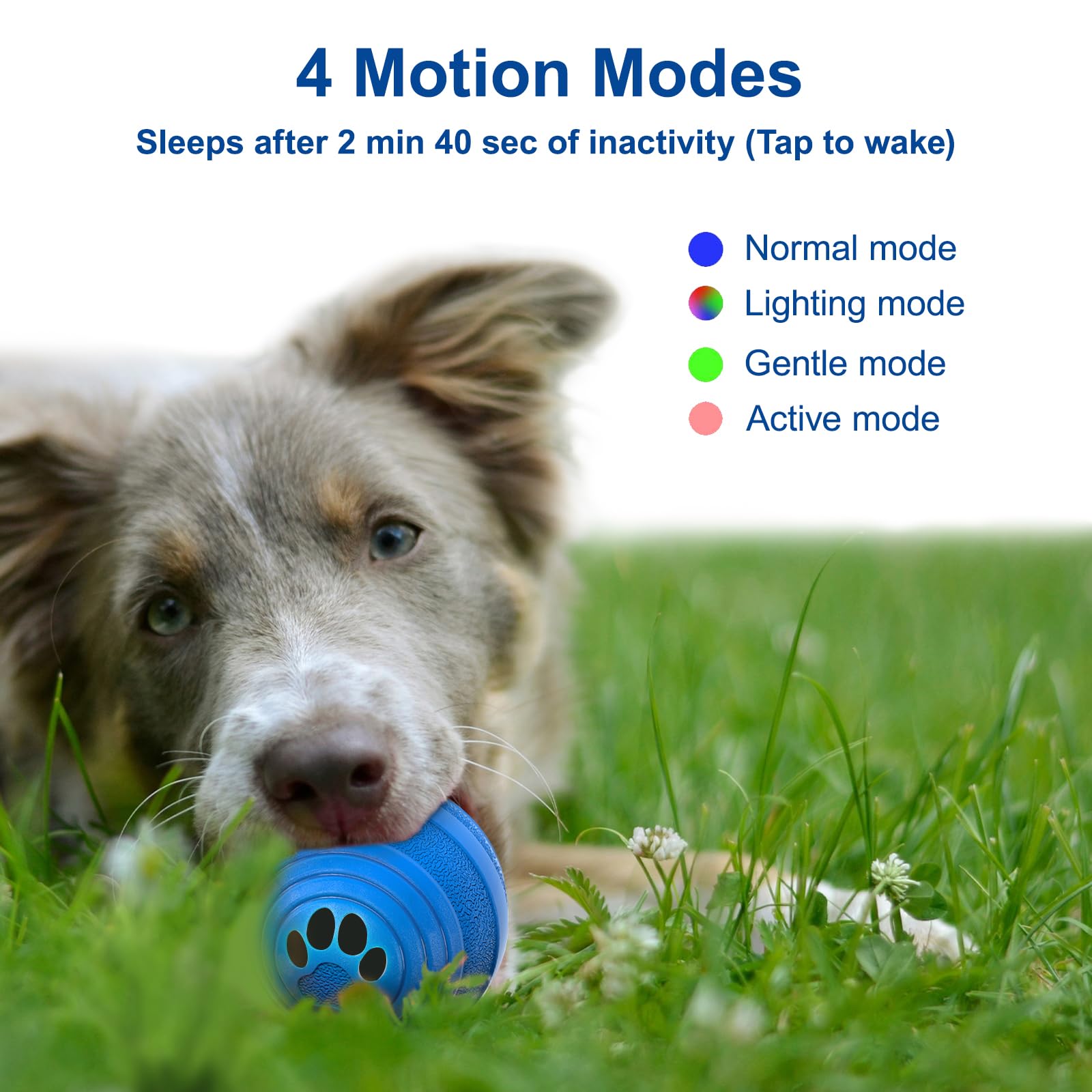 dog vibrating toy Amazon.com: Hyper Pet Doggie Tail Interactive Plush Automatic Dog Toys,  Durable, Wiggles, Vibrates, and Barks, Batteries Included, for All Dog  Breeds, Boredom Buster : Pet Supplies main image 1
