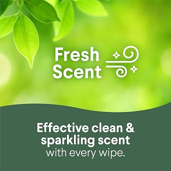 Clorox Disinfecting Wipes, Bleach Free Cleaning Wipes, Fresh Scent, 75 Count (Package May Vary)