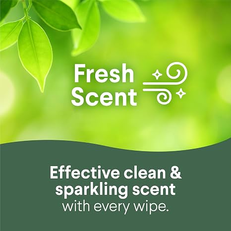 Clorox Disinfecting Wipes, Bleach Free Cleaning Wipes, Fresh Scent, 75 Count (Package May Vary)