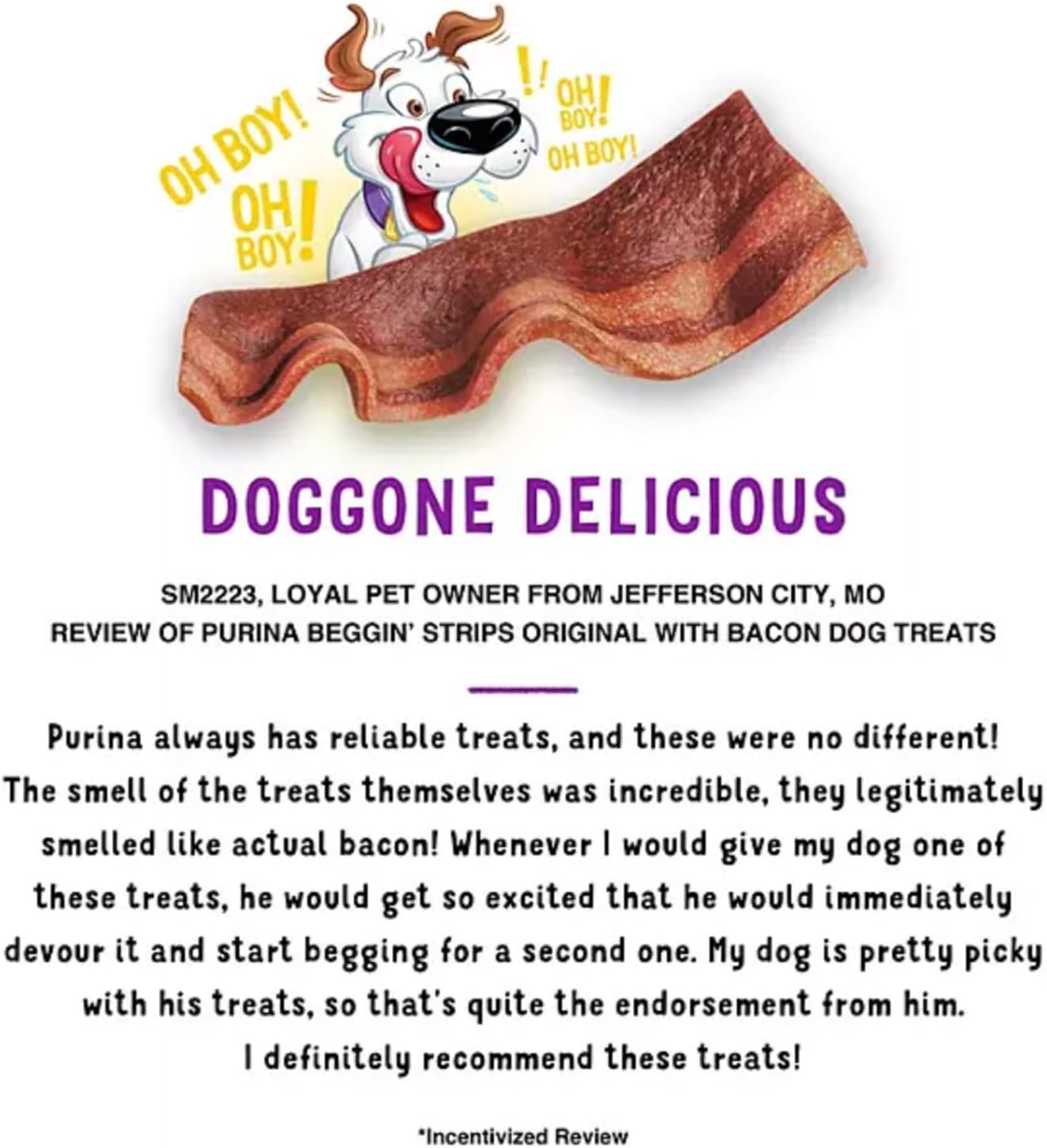 Beggin' Strips Dog Treats By Purina Bundle of 2 Lg. Bags (1) Bacon & (1) Bacon and Cheese 2 lbs. Each