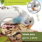 Ver la foto 4