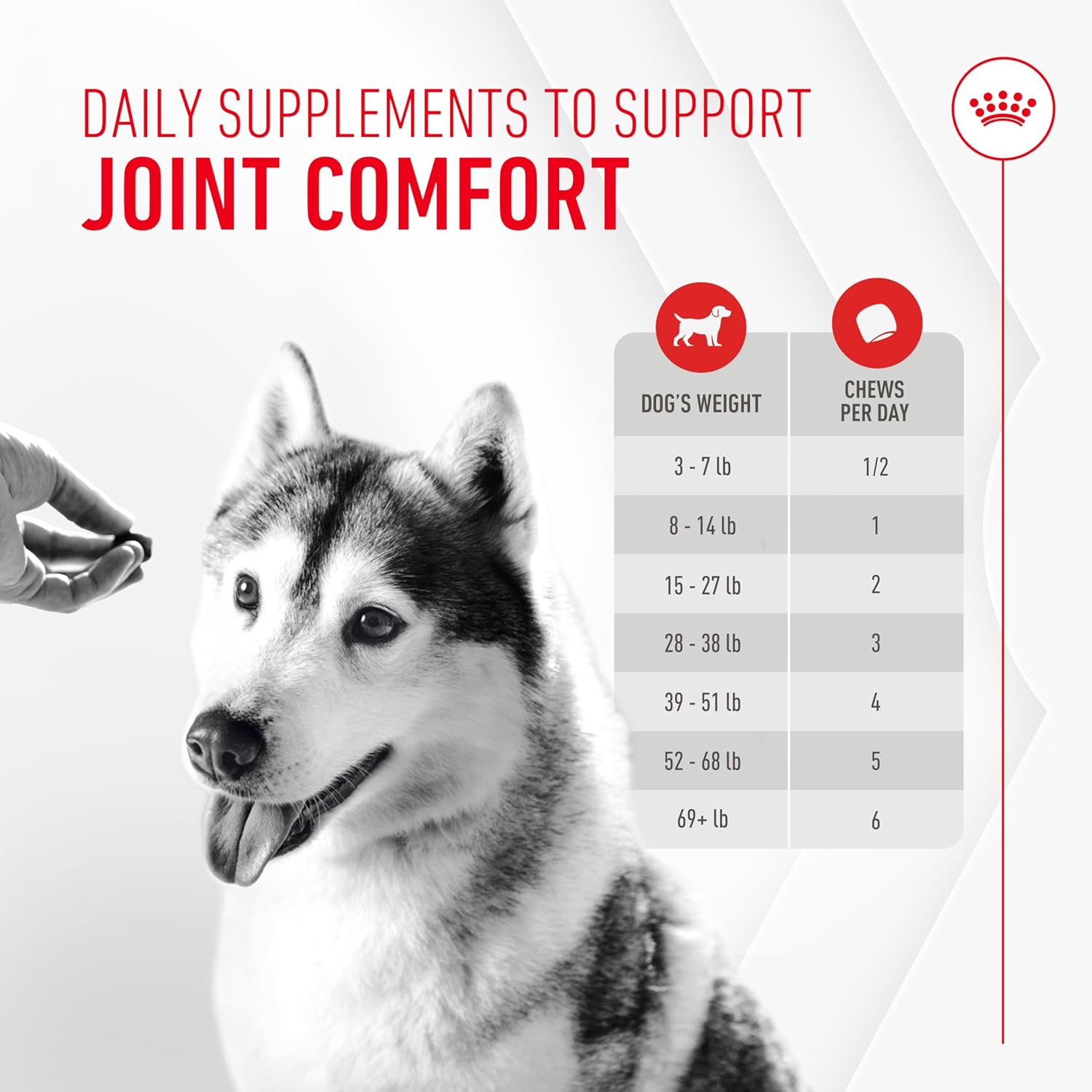 Royal Canin Joint Dog Supplement Soft Chews for Adult Dogs, 60 Count - Image 7